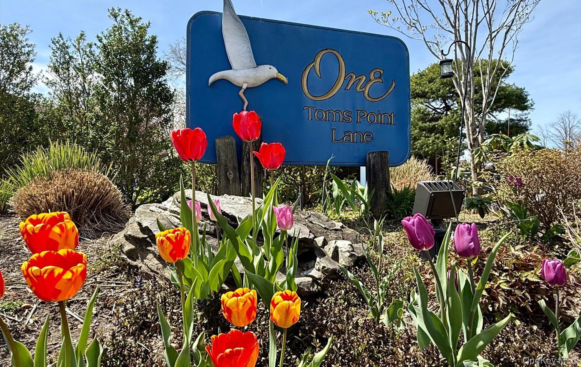 Coop Toms Point Nassau County, NY 11050, MLS-974623-38