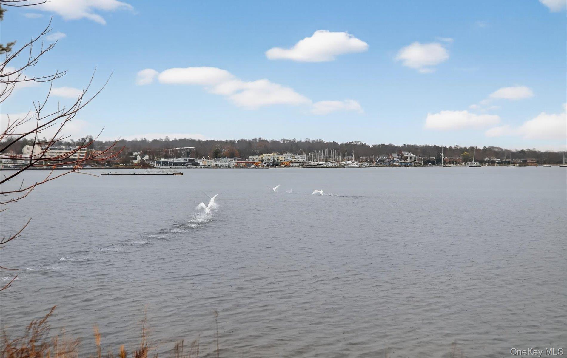 Coop Toms Point Nassau County, NY 11050, MLS-974623-39