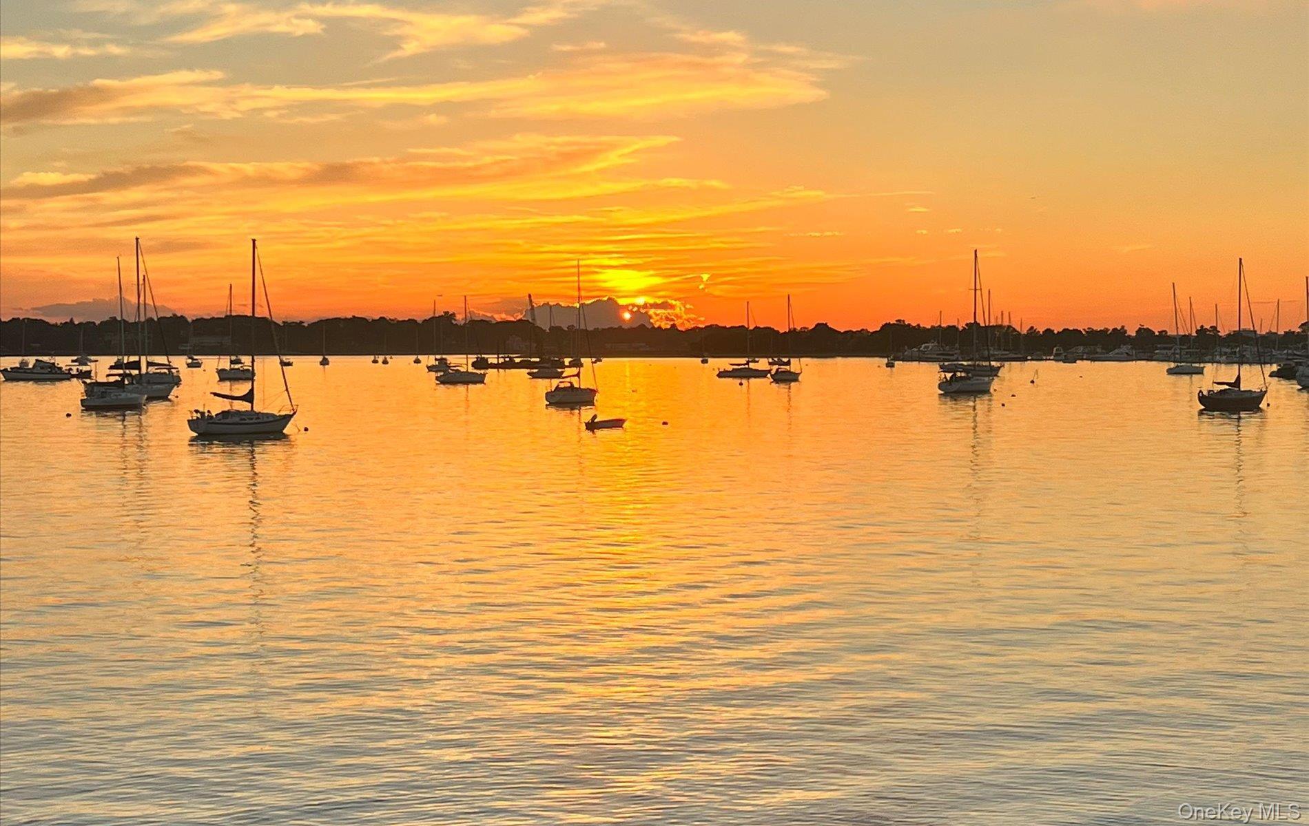 Coop Toms Point Nassau County, NY 11050, MLS-974623-40