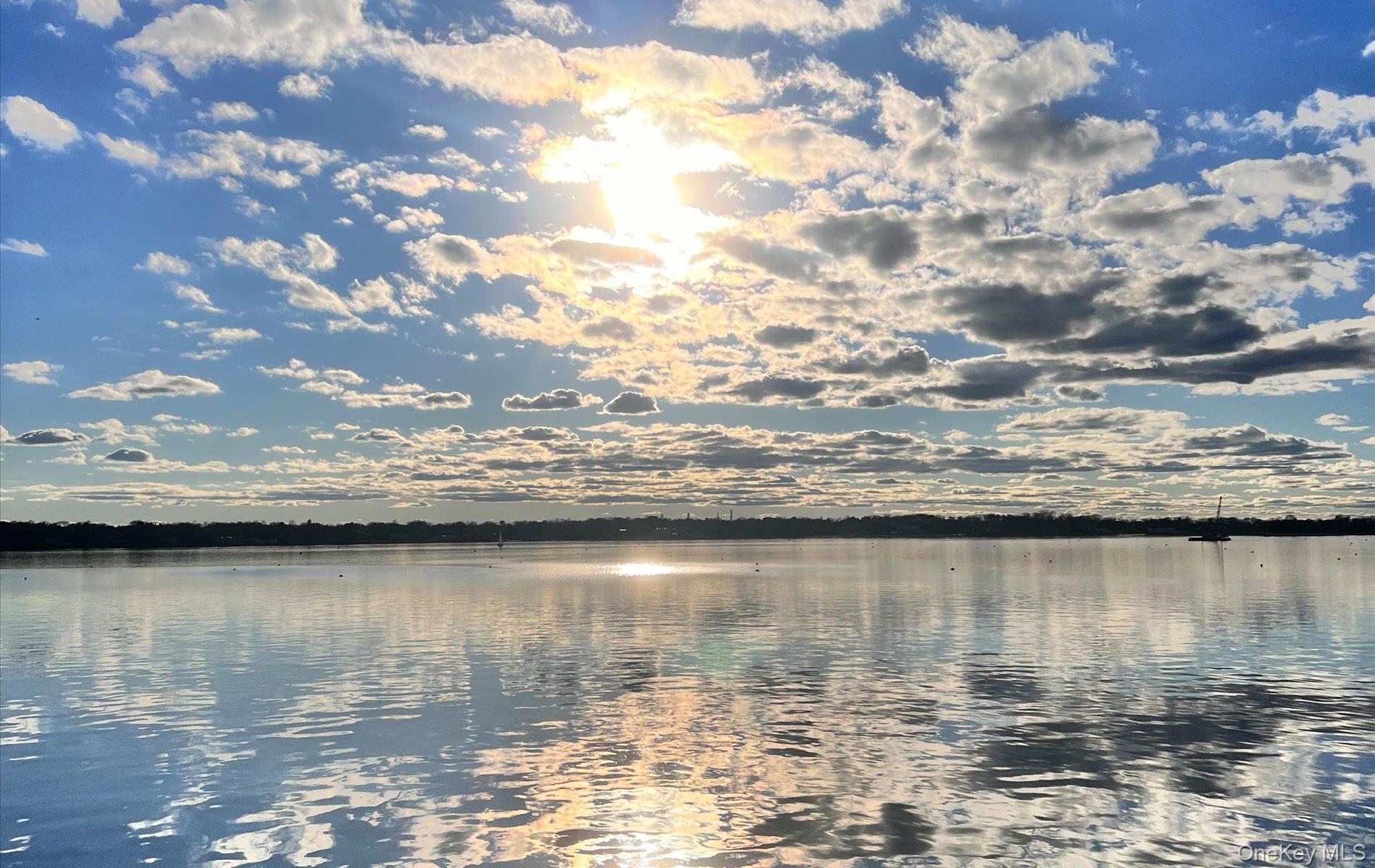 Coop Toms Point Nassau County, NY 11050, MLS-974623-41