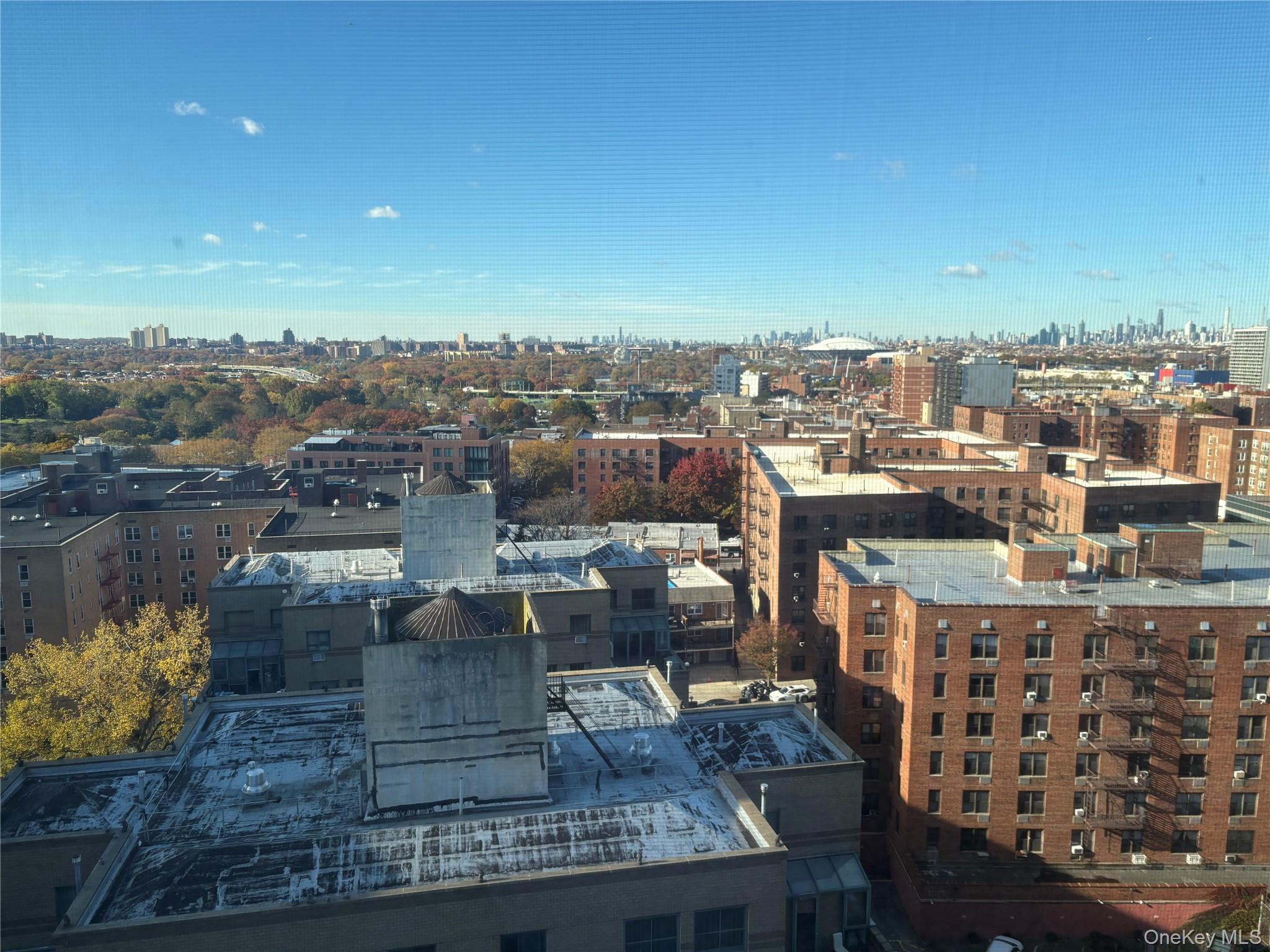 Coop Franklin Queens, NY 11355, MLS-974706-18