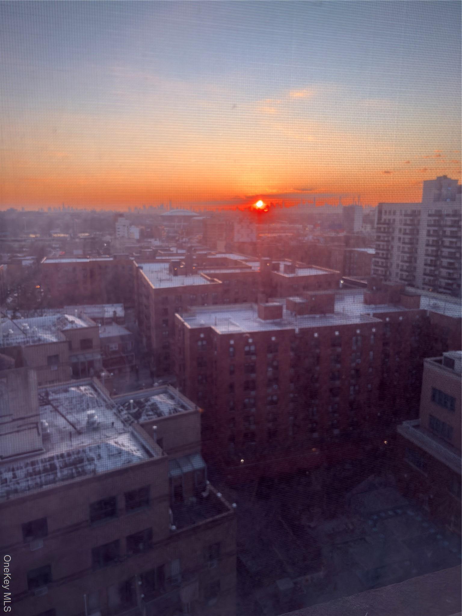 Coop Franklin Queens, NY 11355, MLS-974706-19