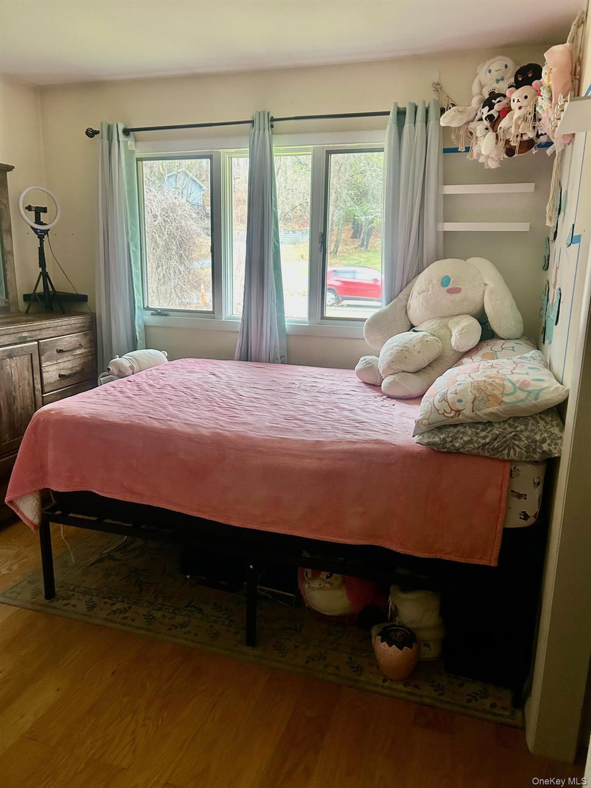 Single Family Route 216  Dutchess County, NY 12582, MLS-974736-10