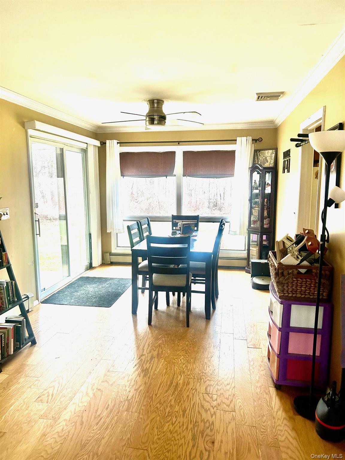 Single Family Route 216  Dutchess County, NY 12582, MLS-974736-4