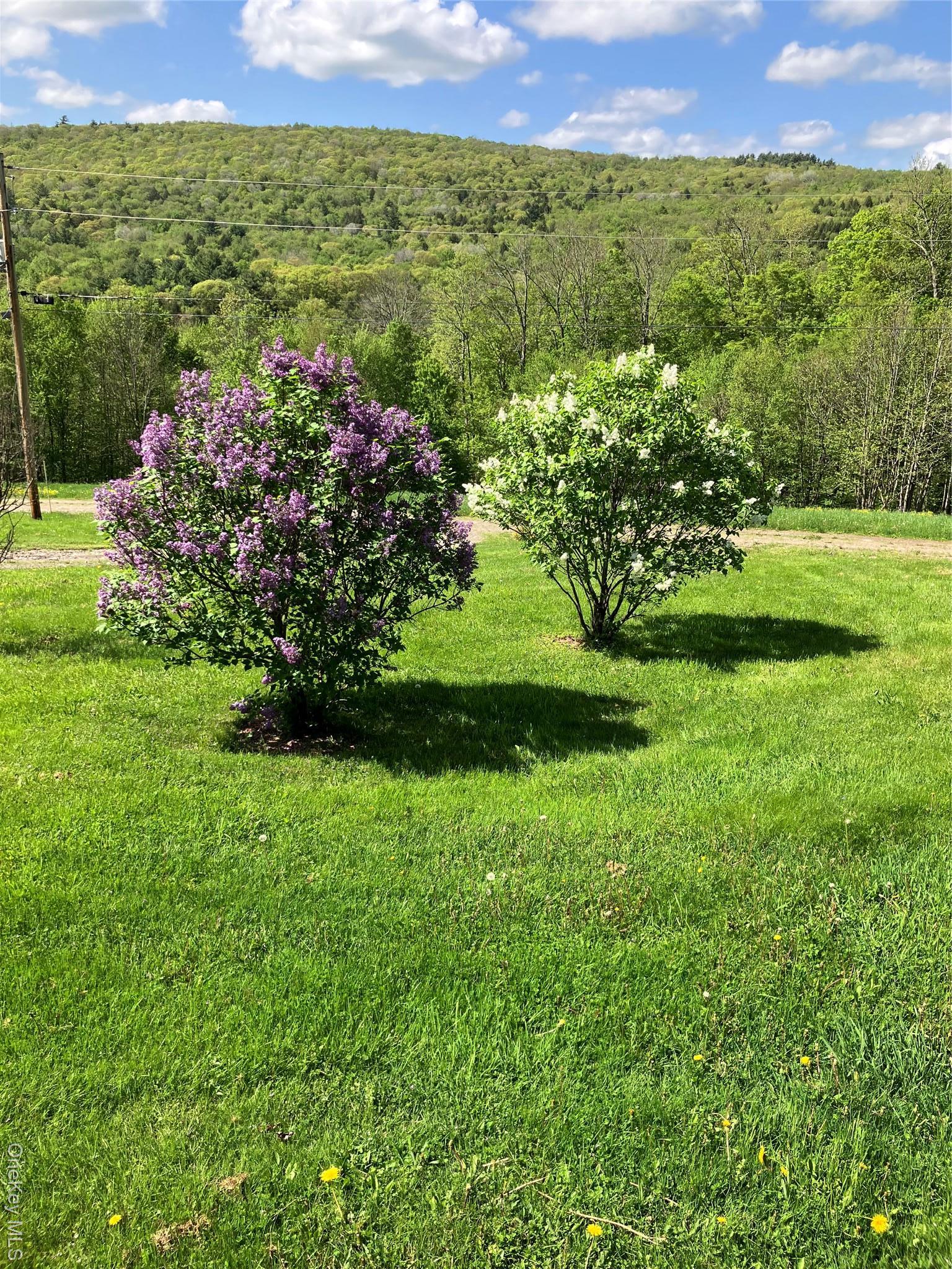 Single Family Lewis Delaware County, NY 13856, MLS-974751-10