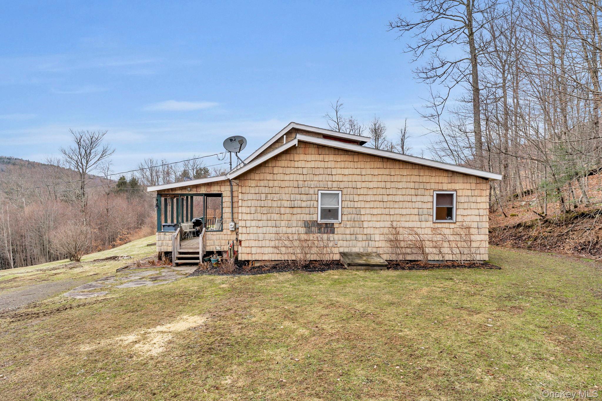 Single Family Lewis Delaware County, NY 13856, MLS-974751-11