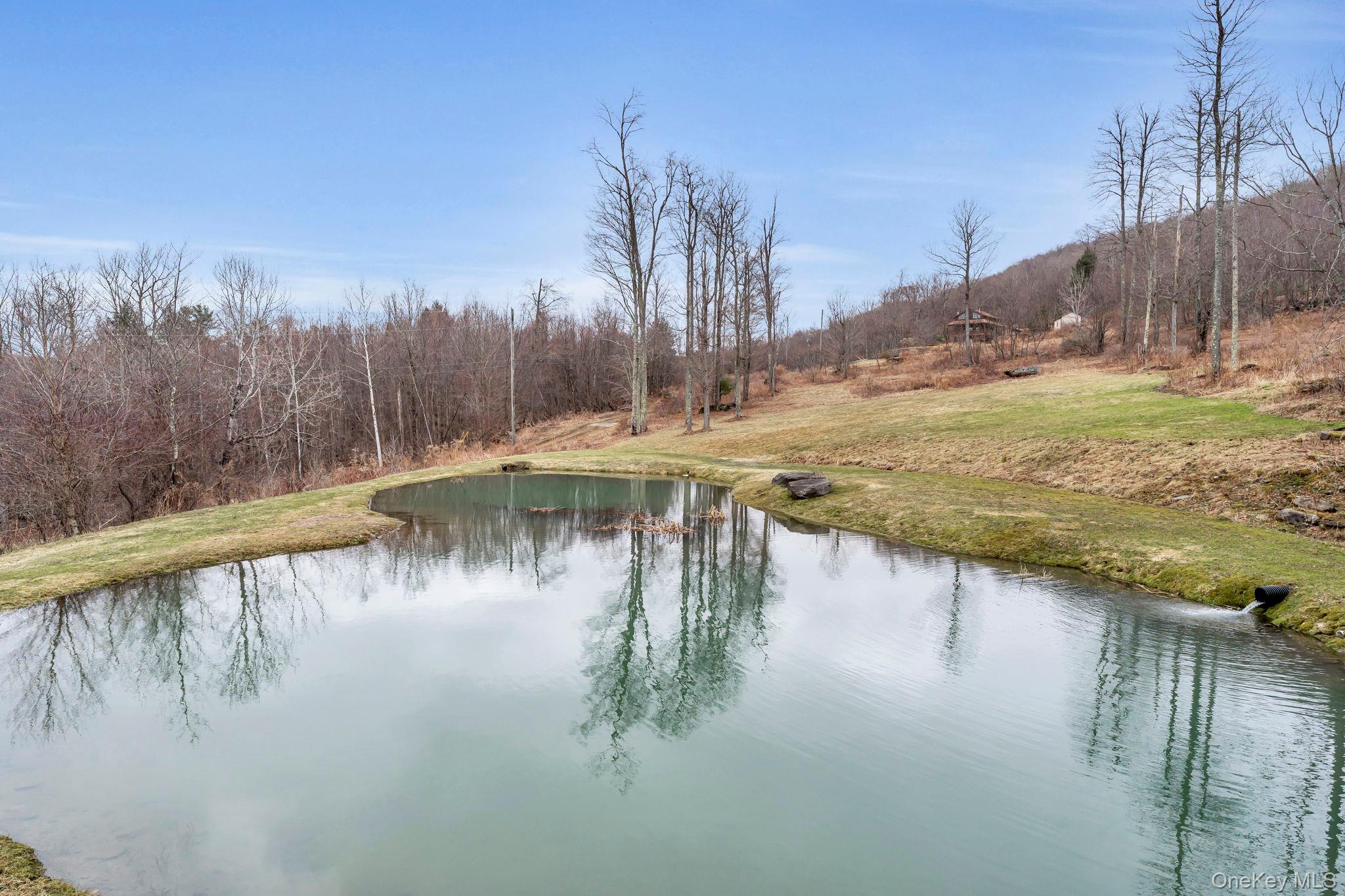 Single Family Lewis Delaware County, NY 13856, MLS-974751-13