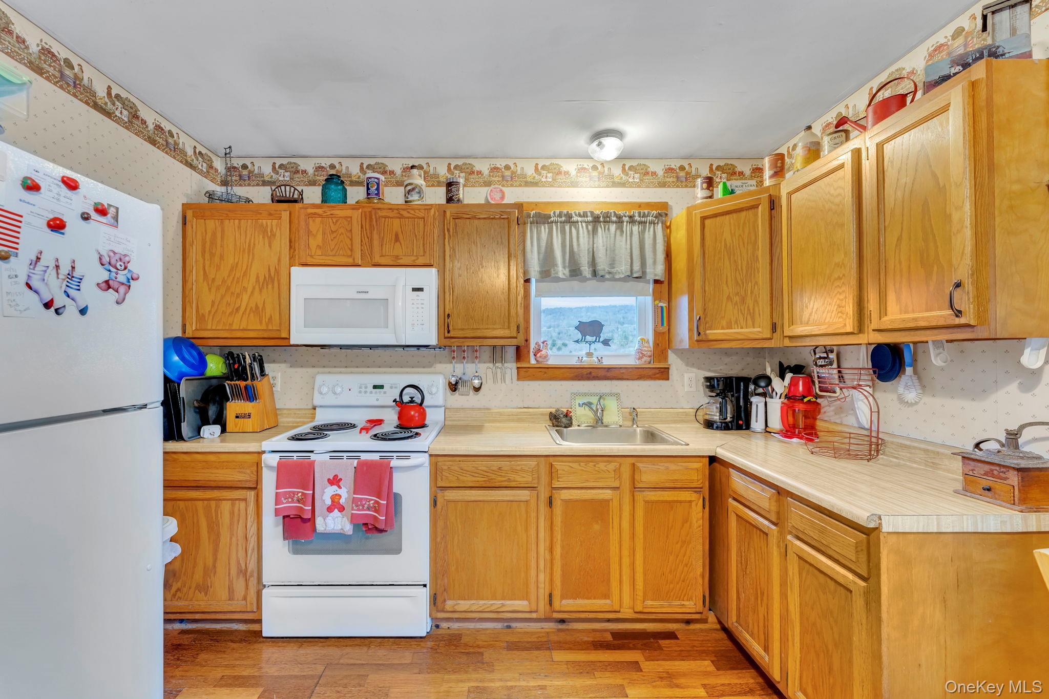 Single Family Lewis Delaware County, NY 13856, MLS-974751-19