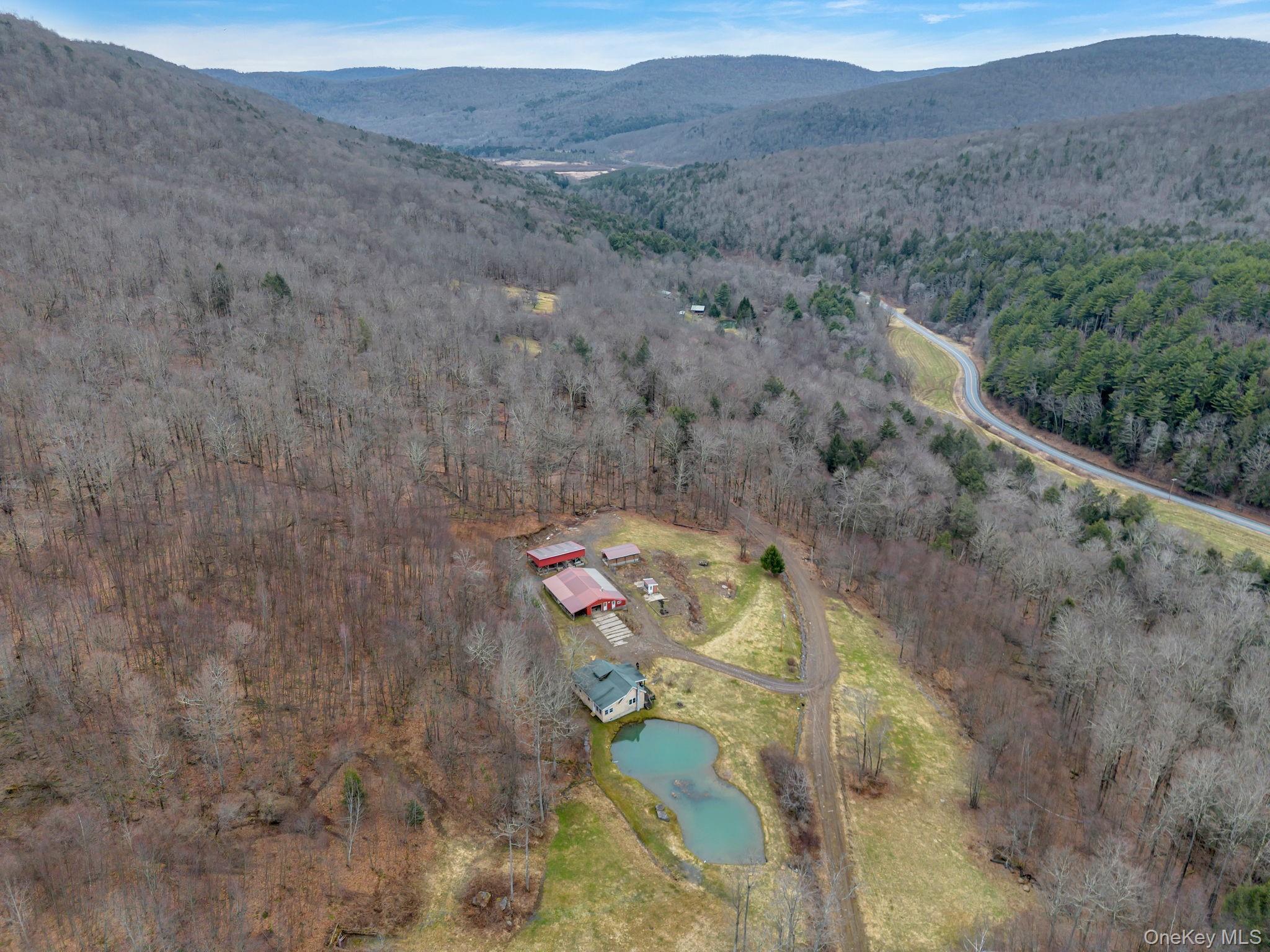 Single Family Lewis Delaware County, NY 13856, MLS-974751-2