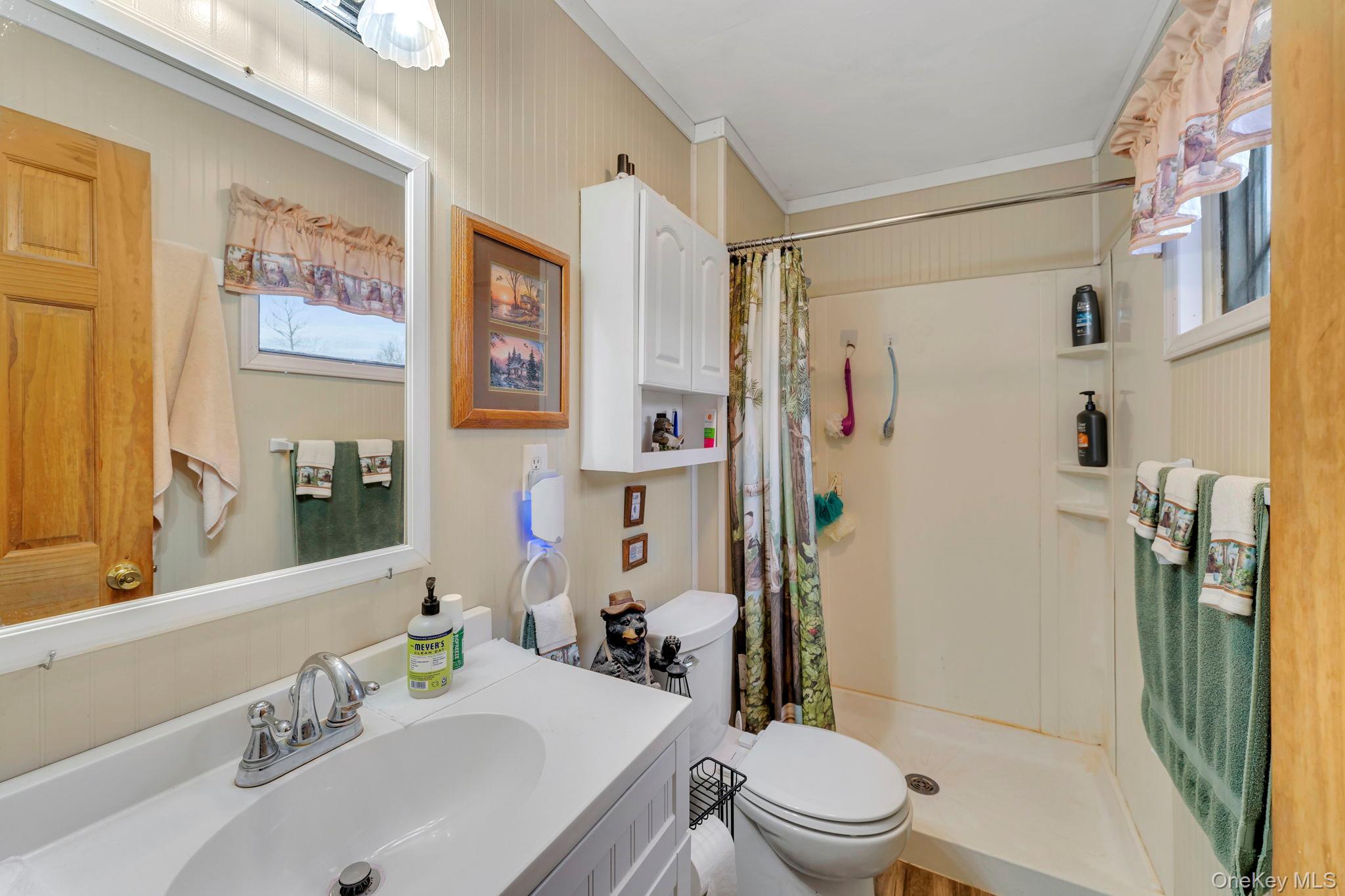 Single Family Lewis Delaware County, NY 13856, MLS-974751-29