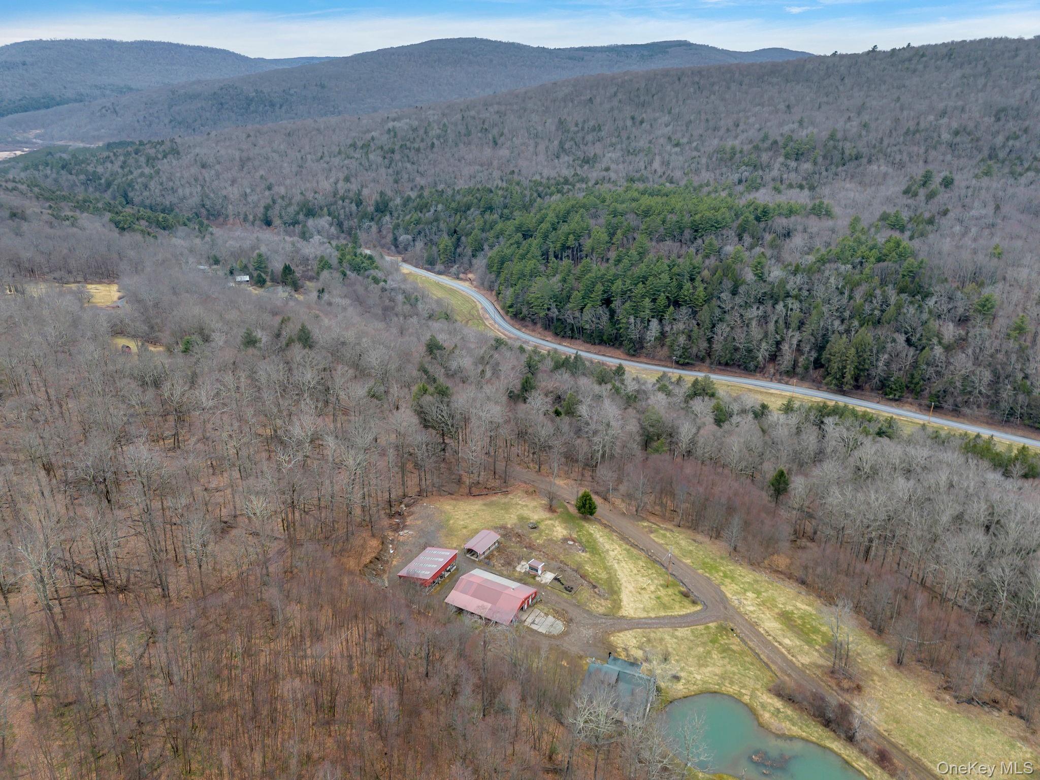 Single Family Lewis Delaware County, NY 13856, MLS-974751-3