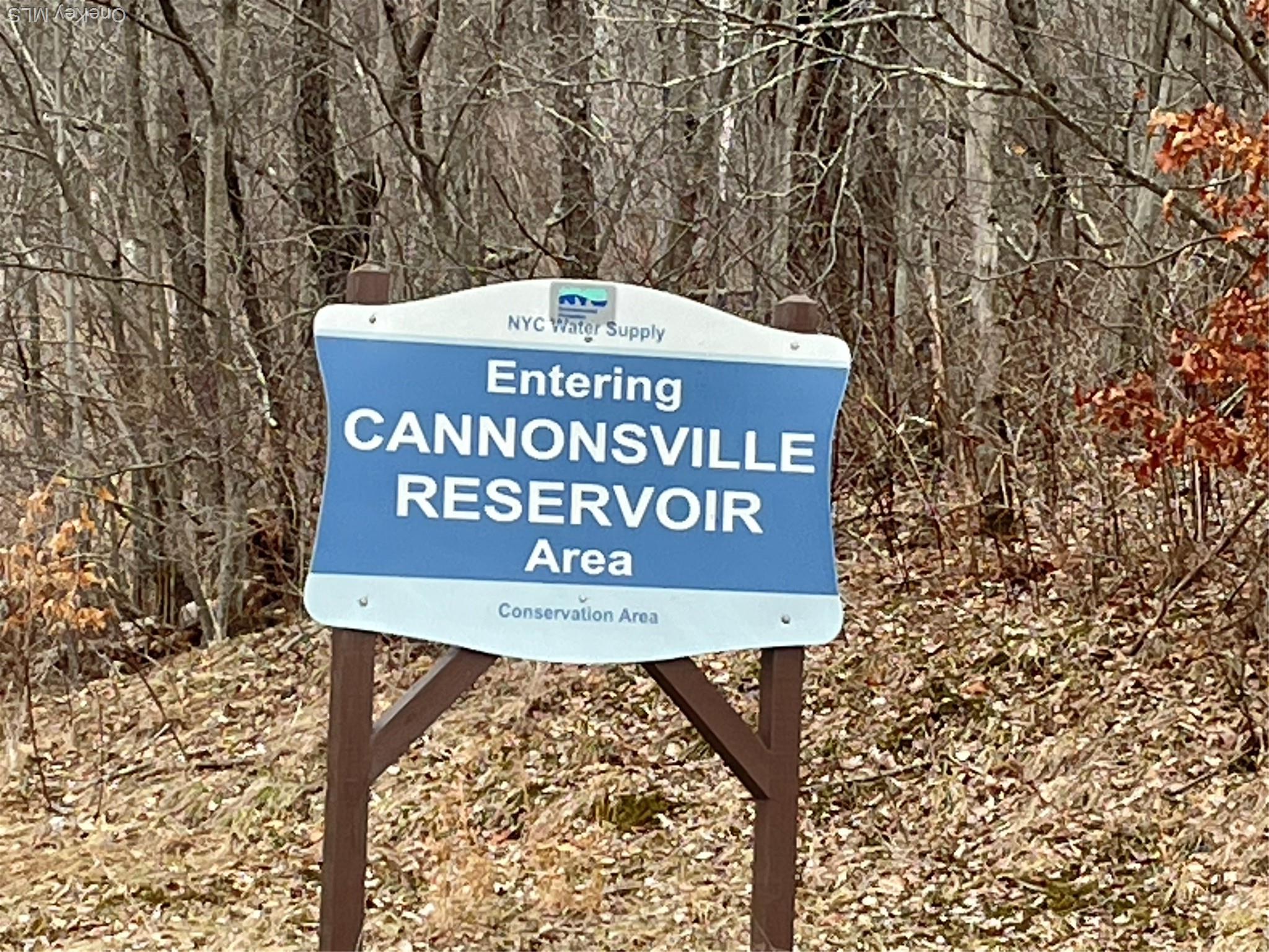 Single Family Lewis Delaware County, NY 13856, MLS-974751-36