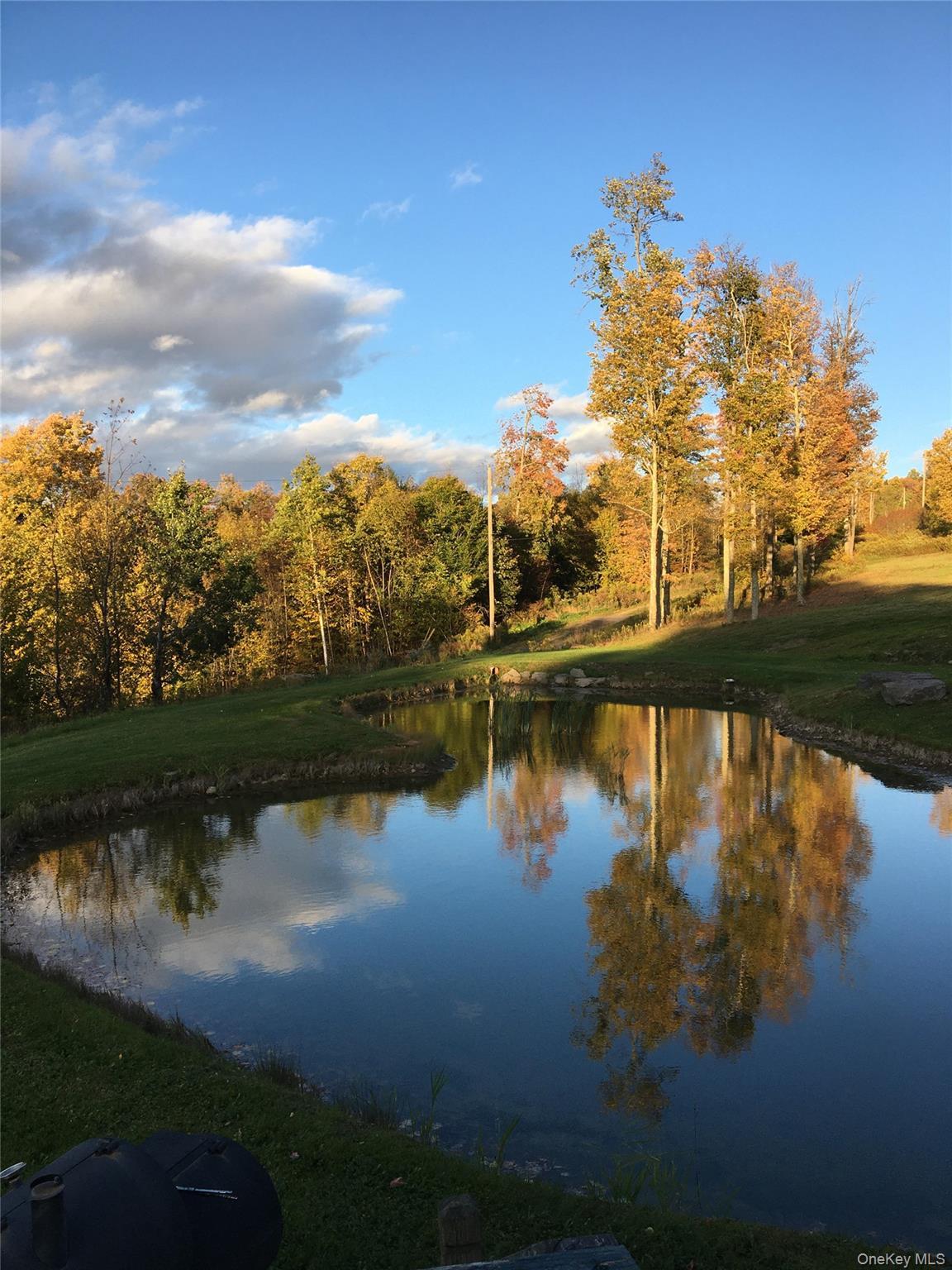 Single Family Lewis Delaware County, NY 13856, MLS-974751-7