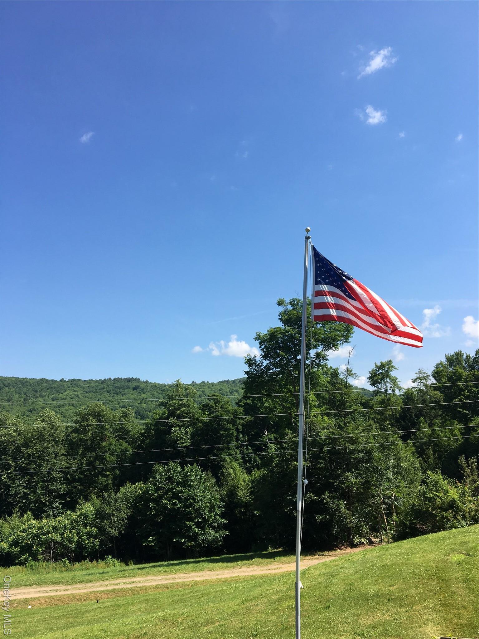 Single Family Lewis Delaware County, NY 13856, MLS-974751-9