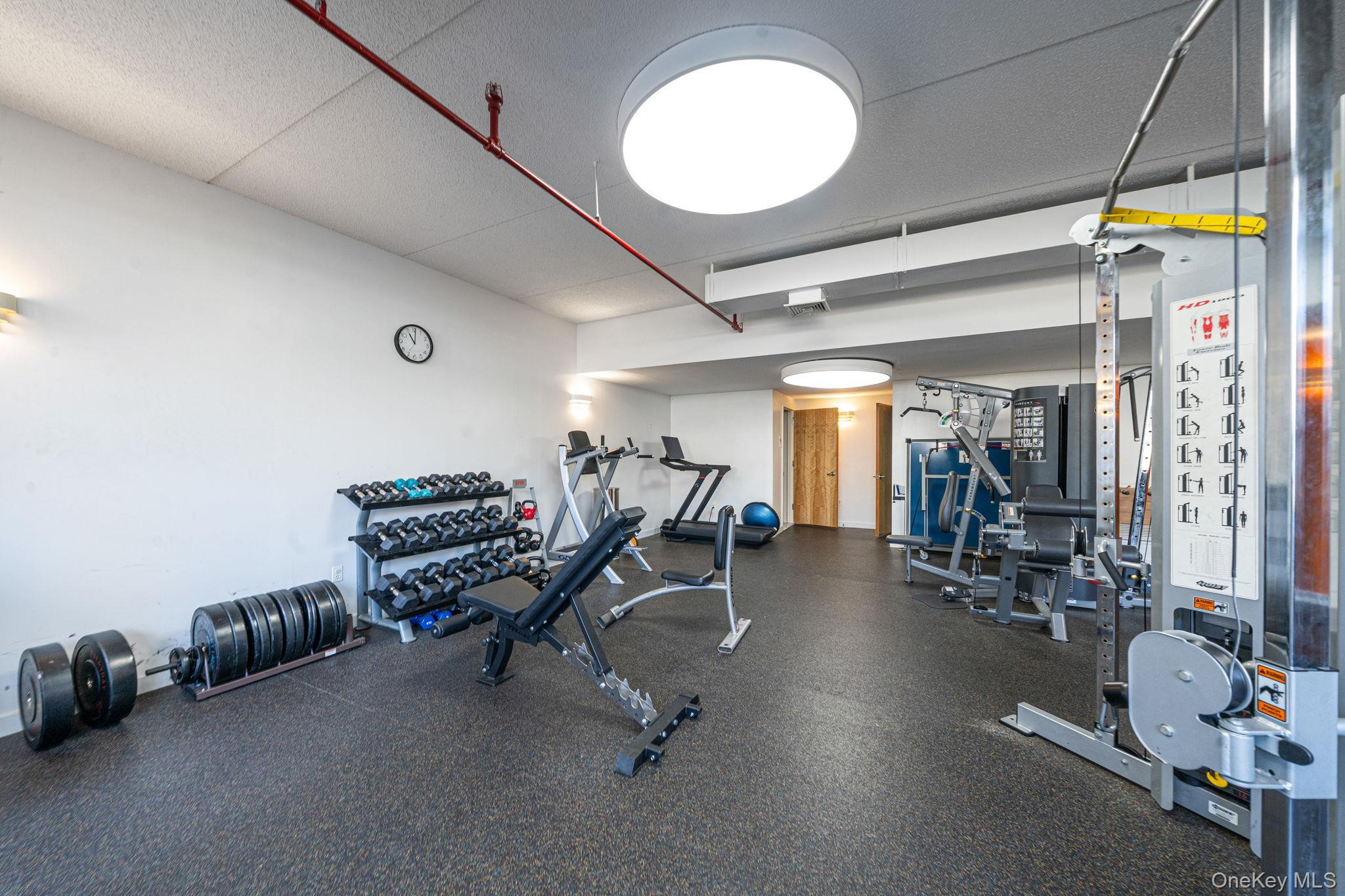 Condo Sterling  Brooklyn, NY 11238, MLS-974782-14