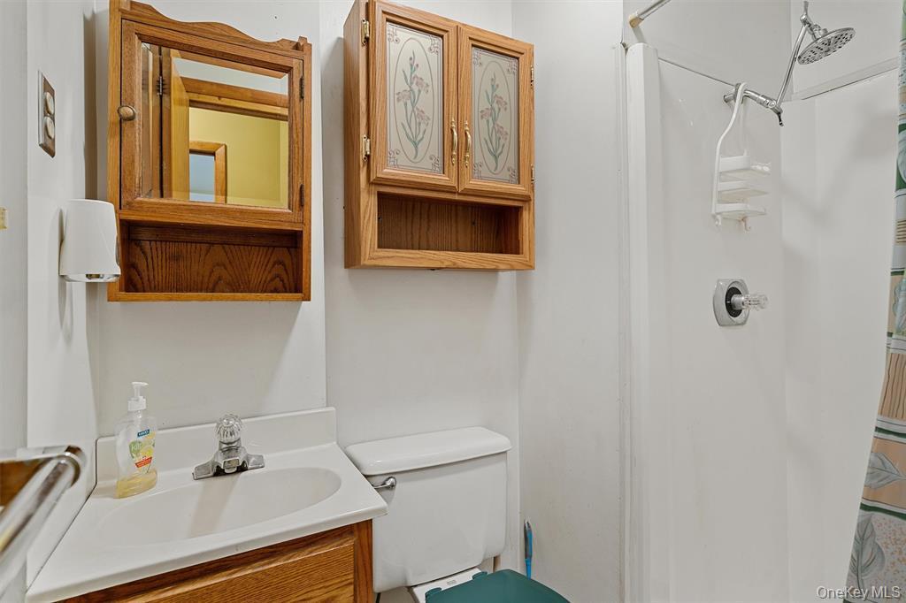 Single Family Cooley  Sullivan County, NY 12768, MLS-974808-16