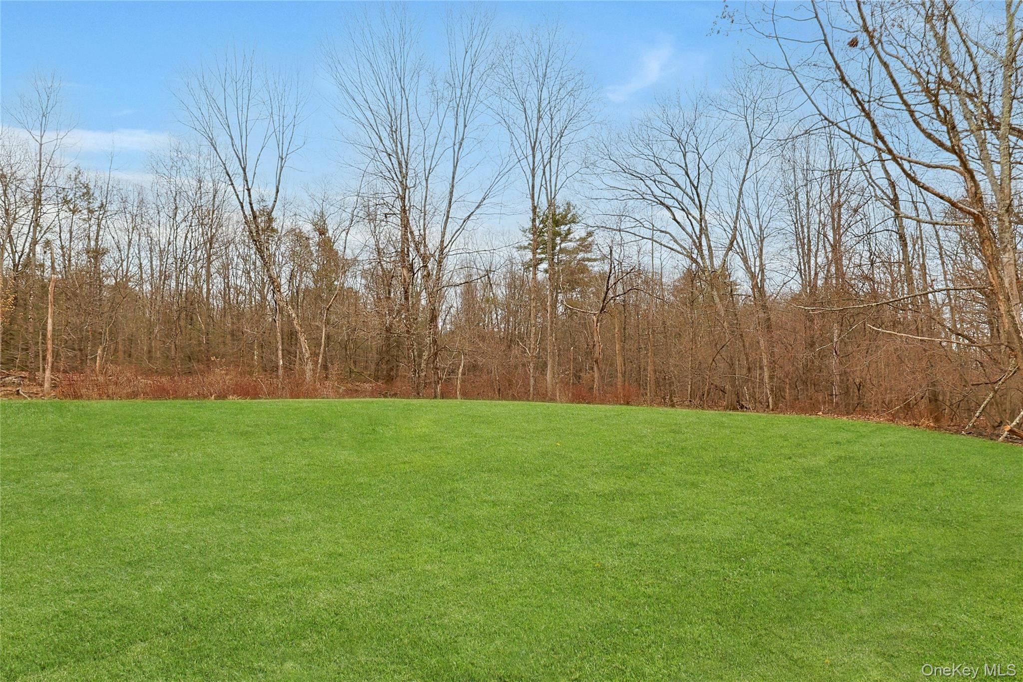 Single Family Shoddy Hollow  Orange County, NY 10940, MLS-974842-34