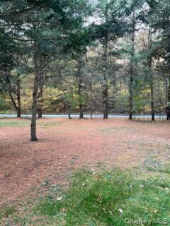 Single Family Soho  Sullivan County, NY 12759, MLS-974928-24