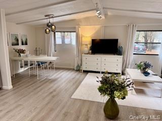 Single Family Soho  Sullivan County, NY 12759, MLS-974928-3