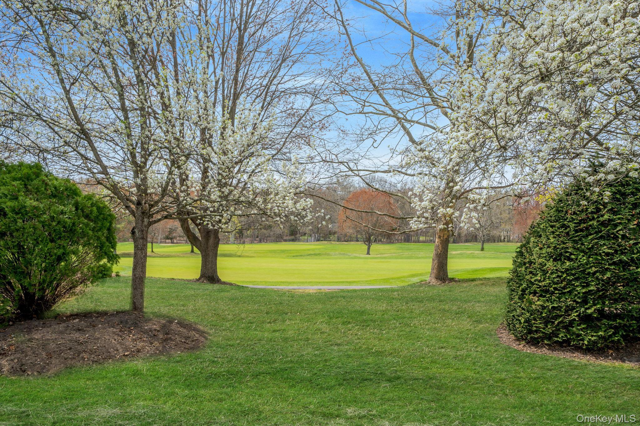 Condo Fairway View  Suffolk County, NY 11725, MLS-974944-40