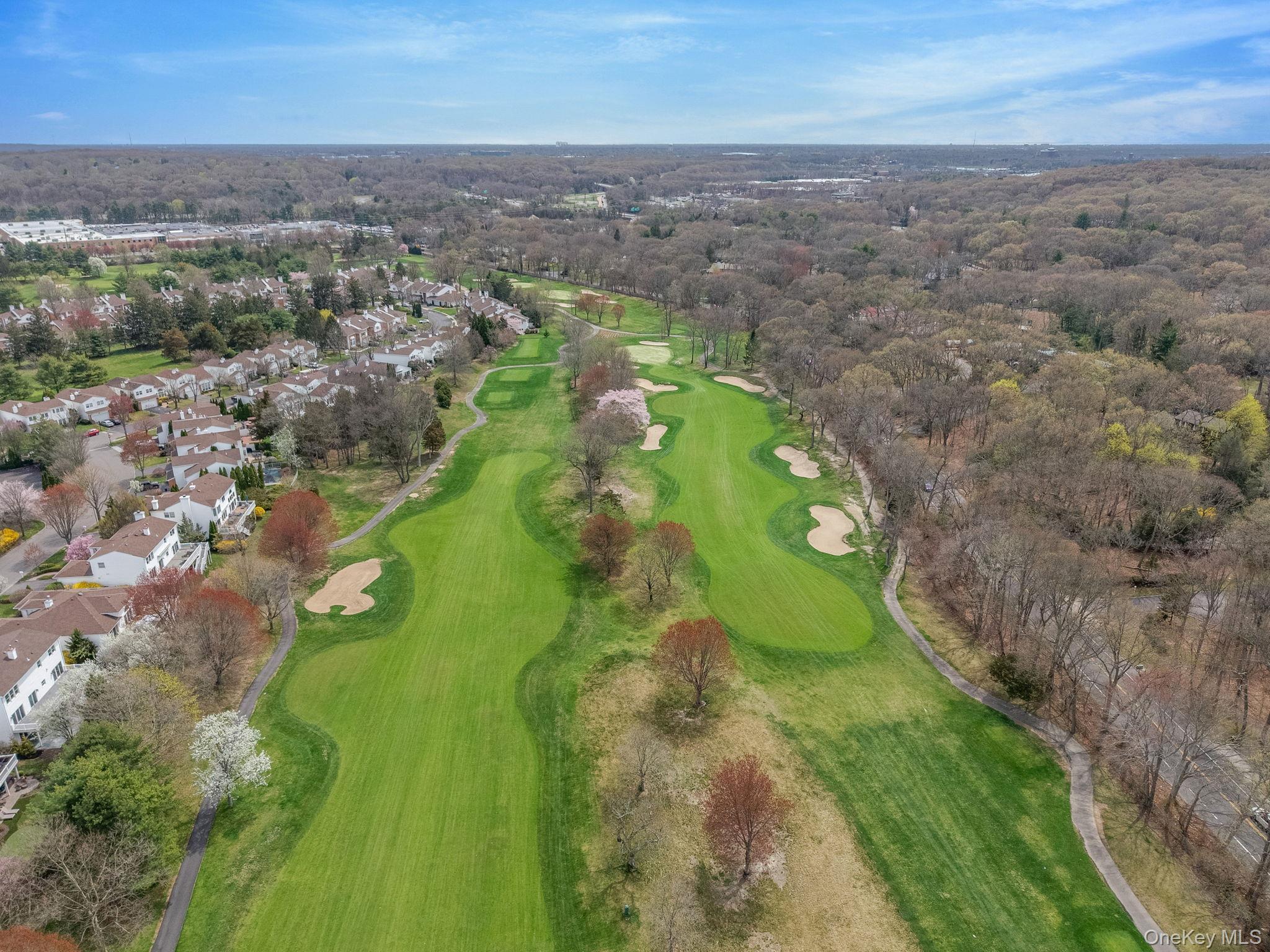 Condo Fairway View  Suffolk County, NY 11725, MLS-974944-47