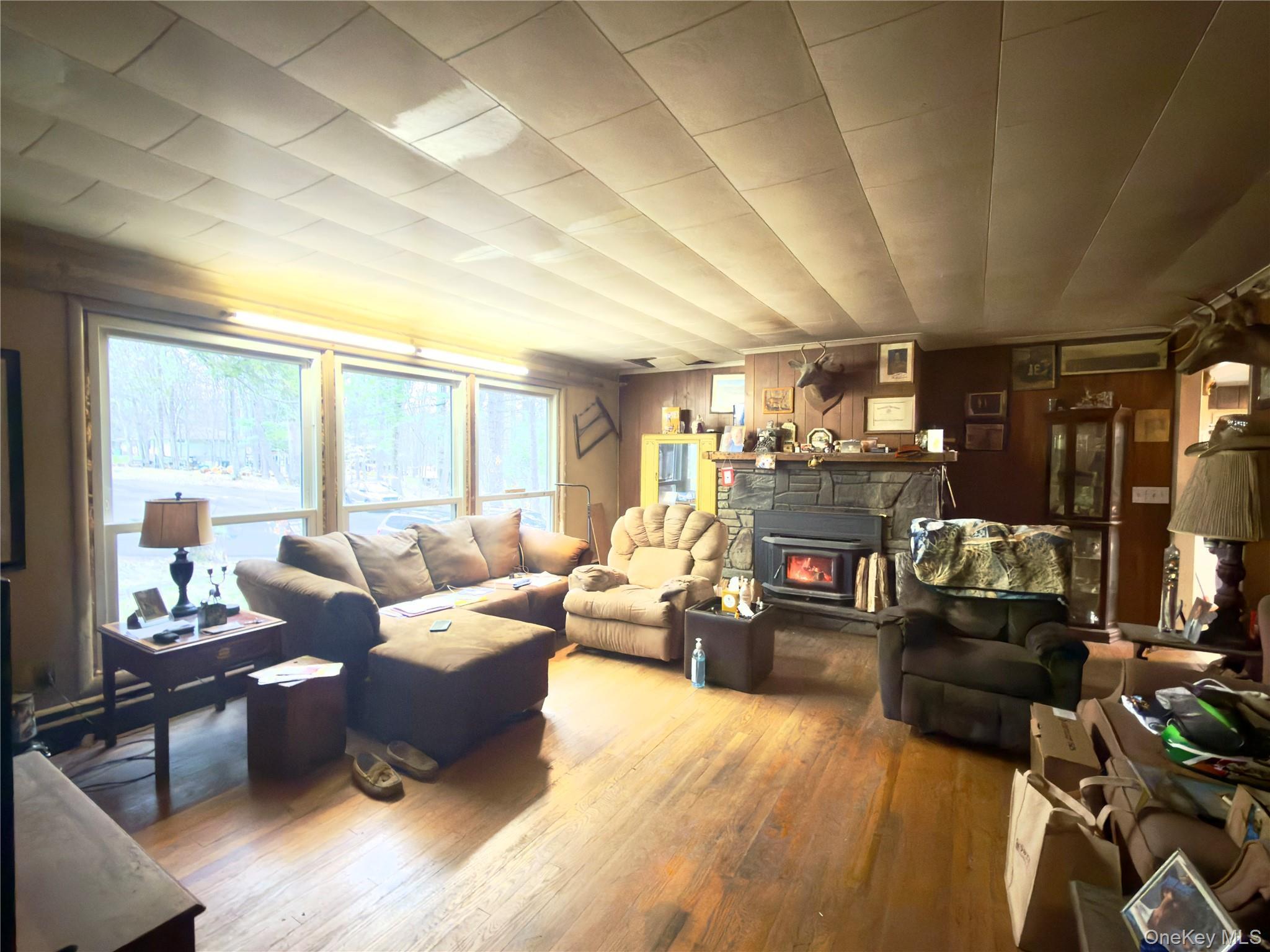 Single Family Pine Tree Dutchess County, NY 12538, MLS-975002-2