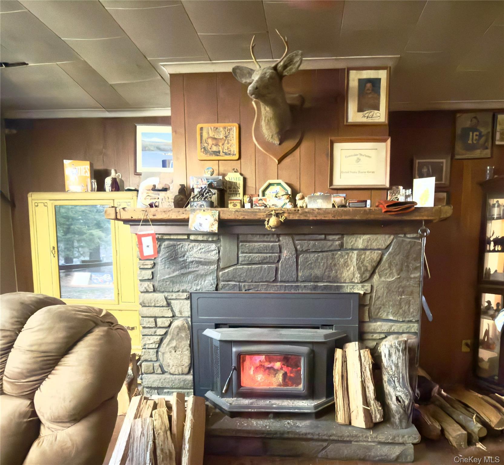 Single Family Pine Tree Dutchess County, NY 12538, MLS-975002-3