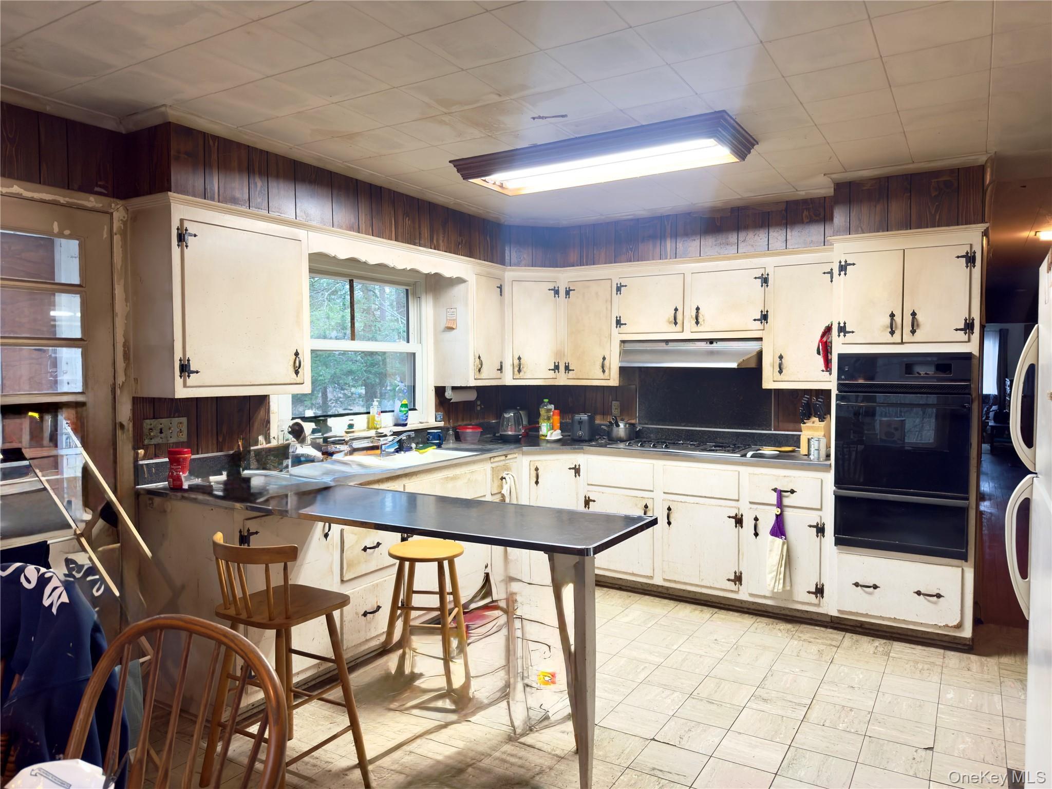 Single Family Pine Tree Dutchess County, NY 12538, MLS-975002-4