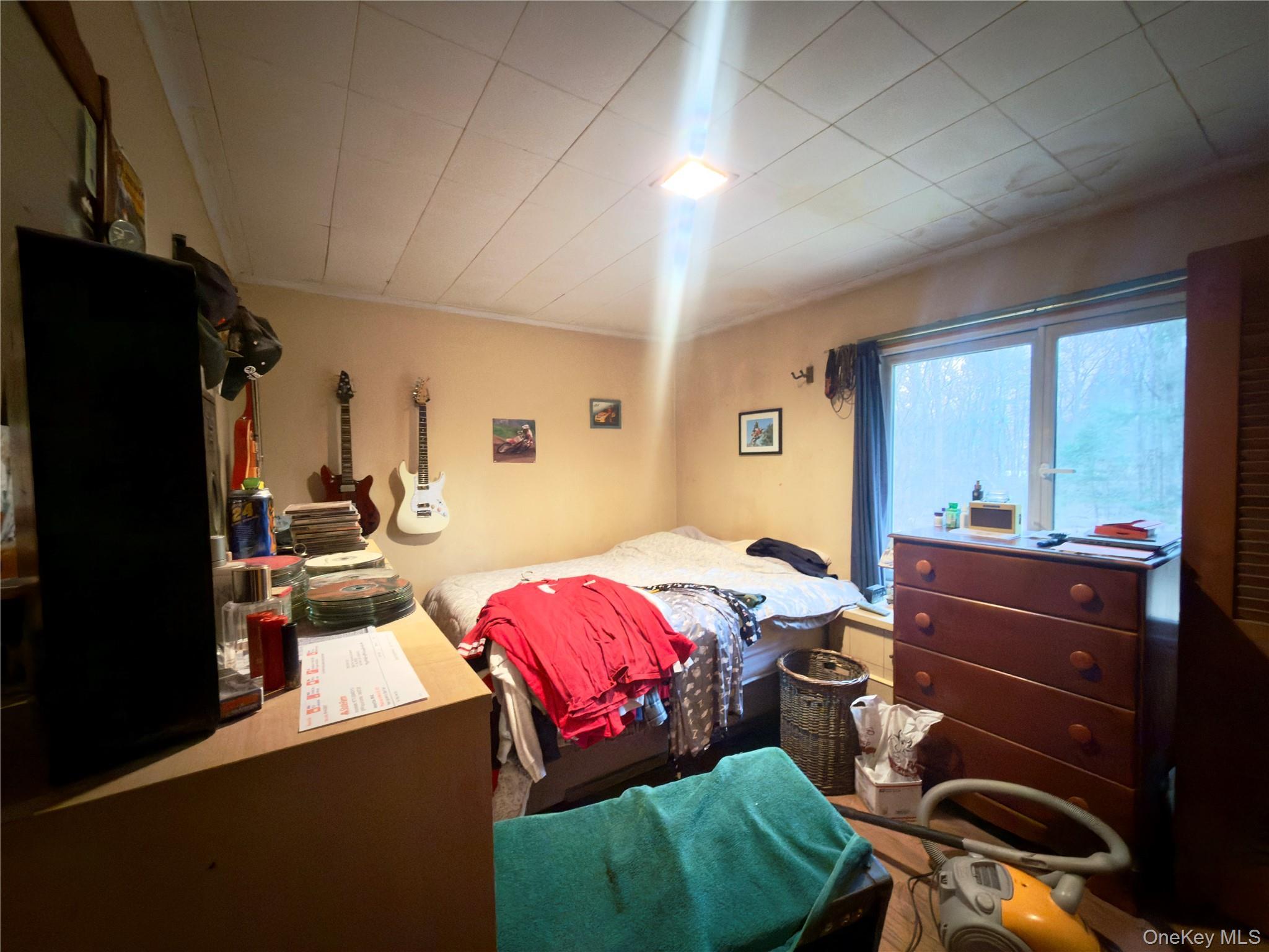 Single Family Pine Tree Dutchess County, NY 12538, MLS-975002-7