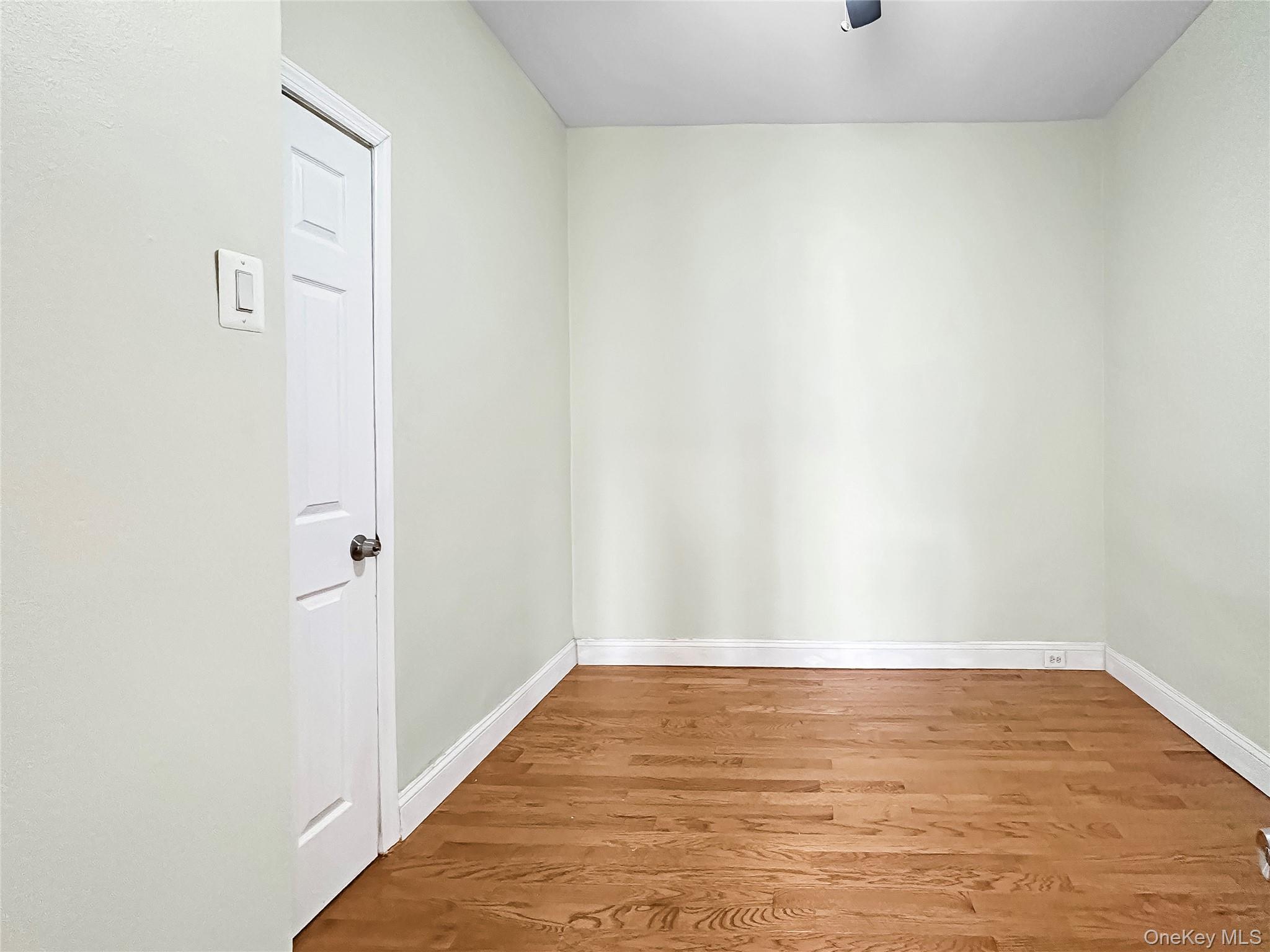 Single Family Chestnut  Brooklyn, NY 11208, MLS-975025-5