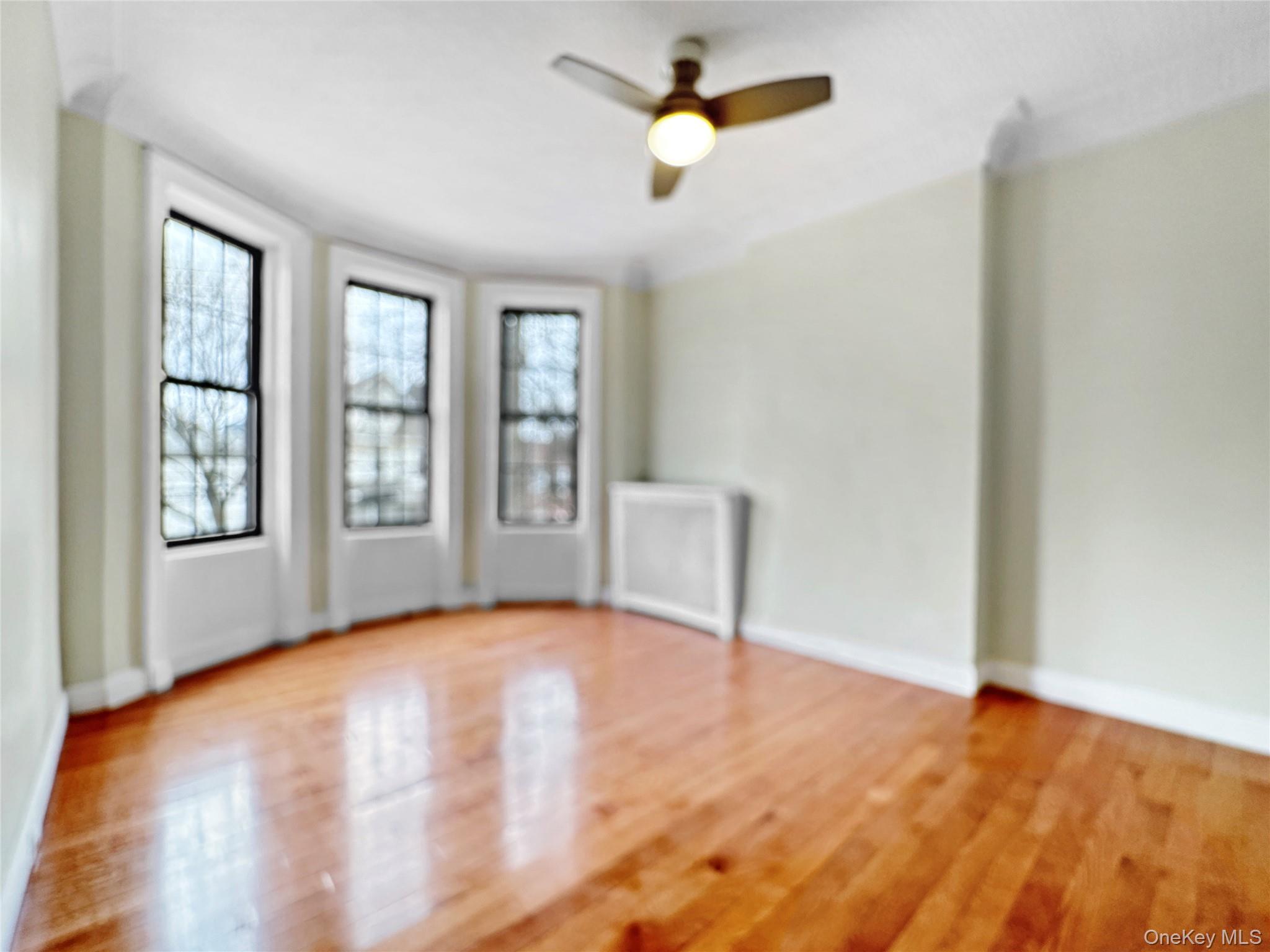 Single Family Chestnut  Brooklyn, NY 11208, MLS-975025-8