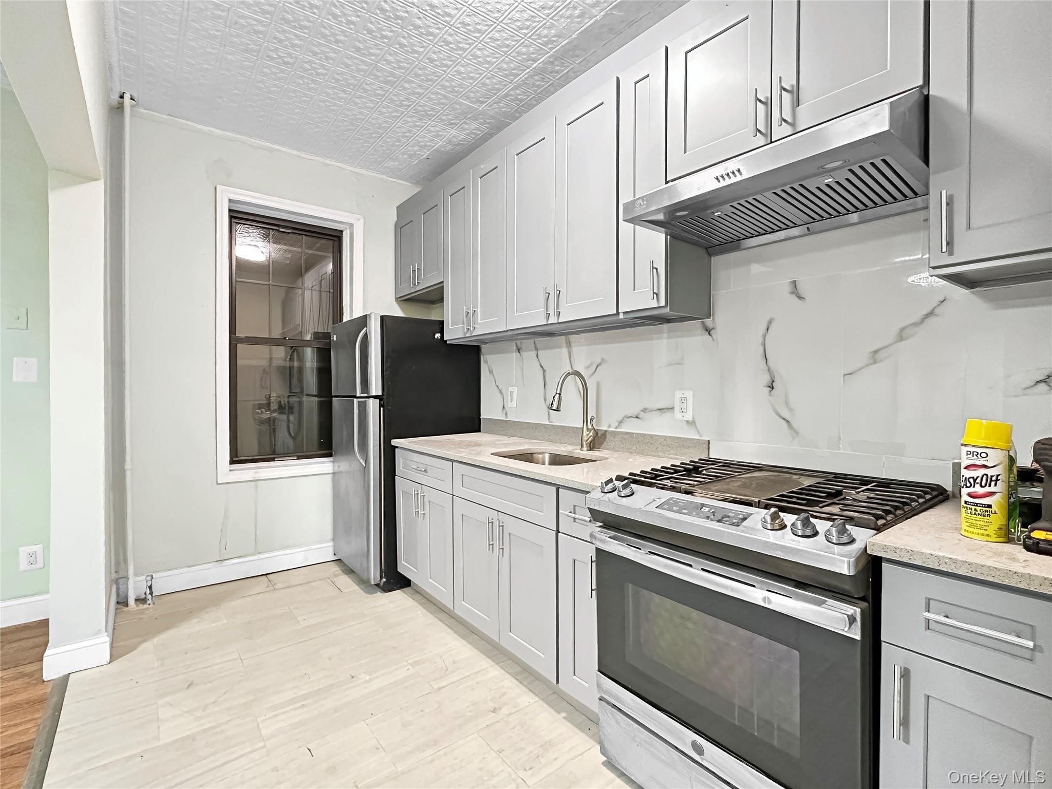 Single Family Chestnut  Brooklyn, NY 11208, MLS-975025-9