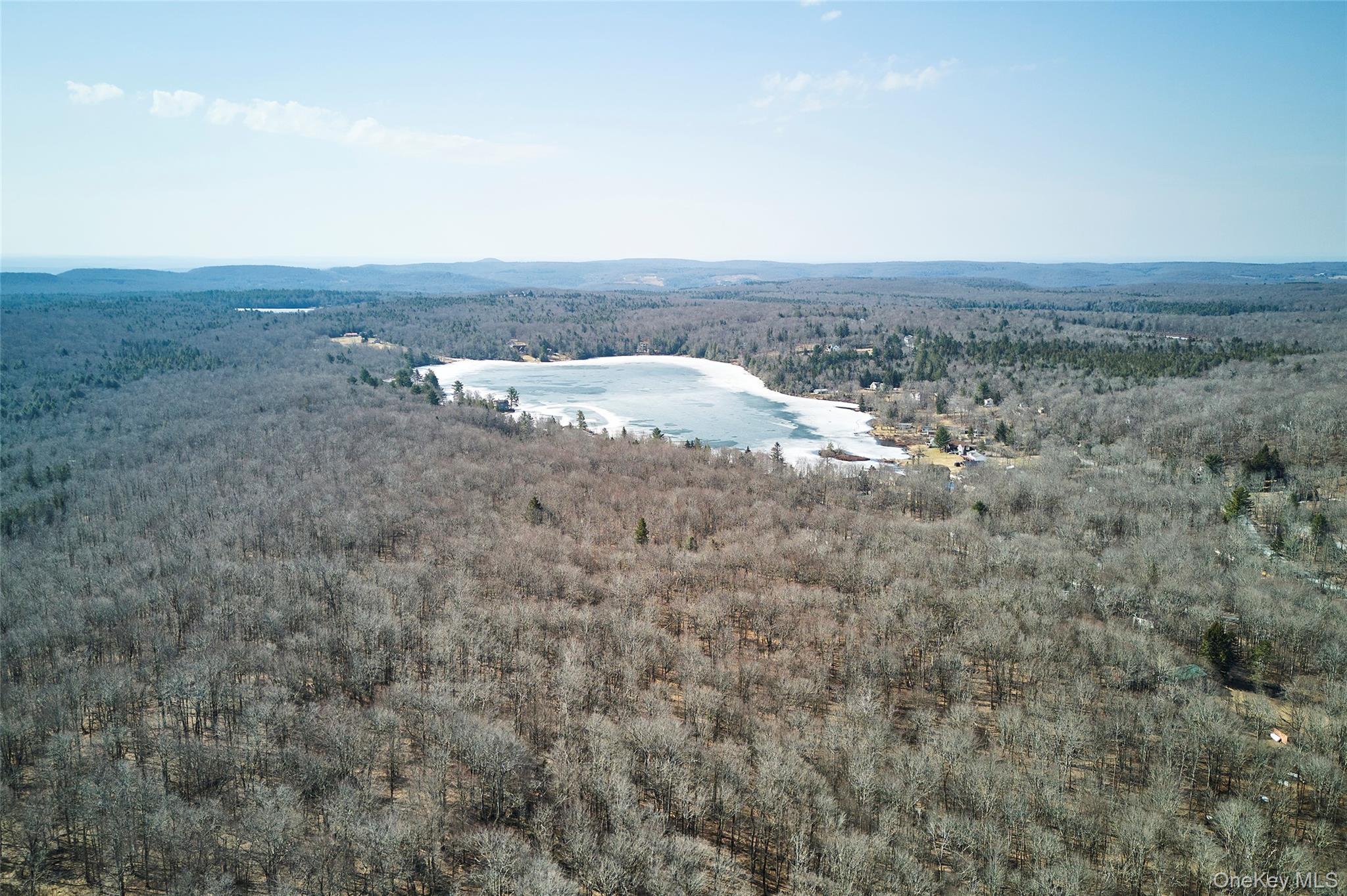 Single Family Mountain Terrace Road Sullivan County, NY 12758, MLS-975073-26