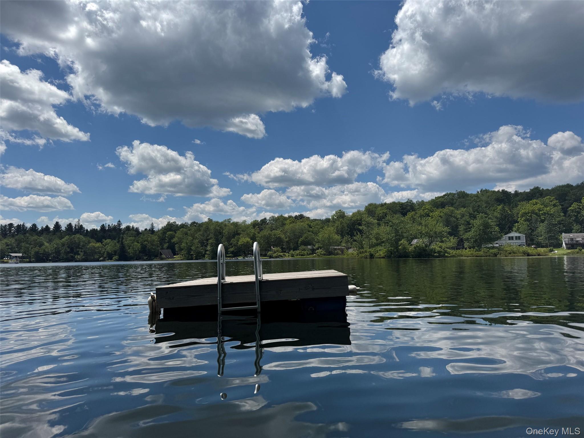 Single Family Mountain Terrace Road Sullivan County, NY 12758, MLS-975073-3