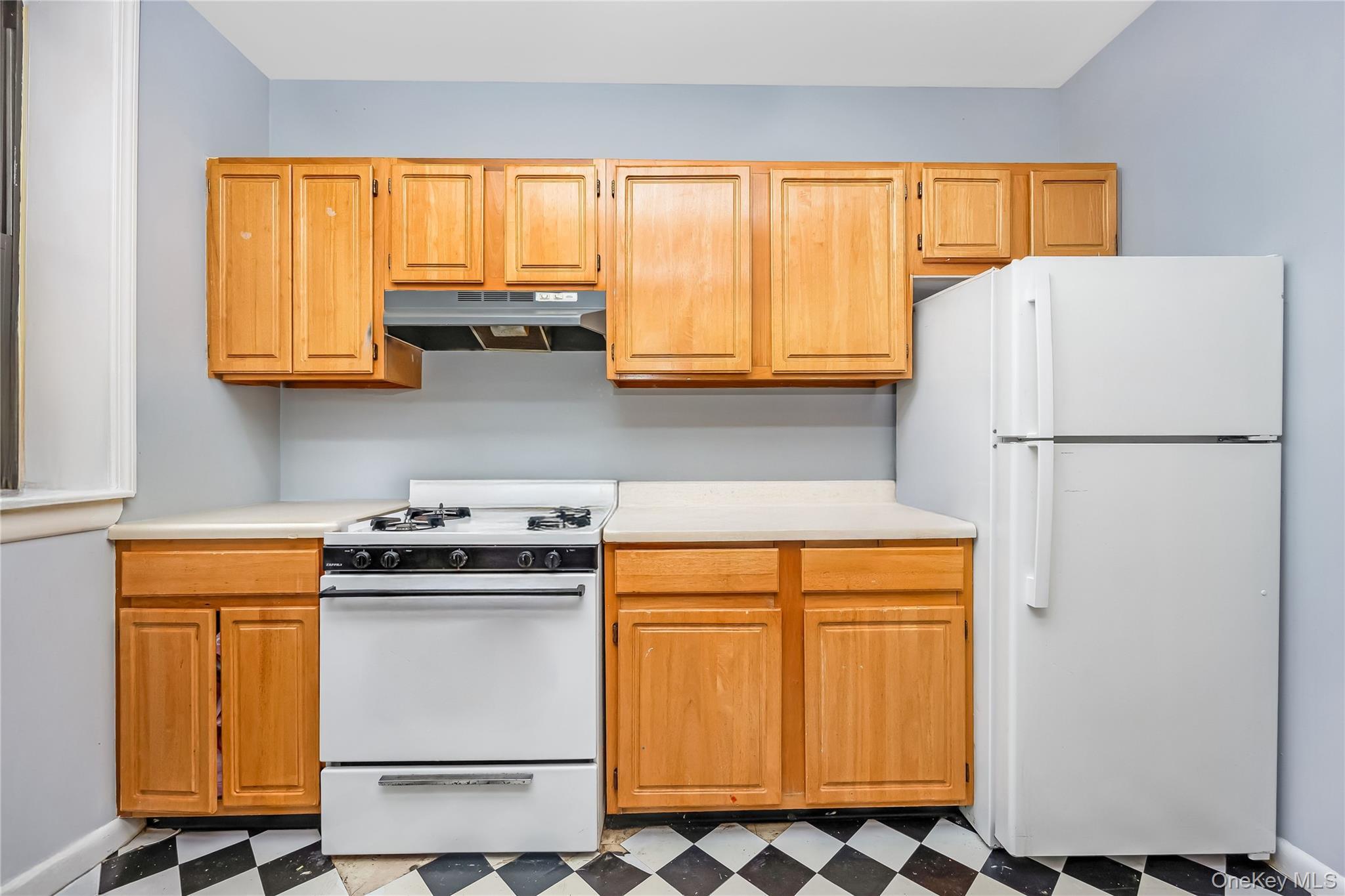 Single Family Belmont  Brooklyn, NY 11208, MLS-975120-16
