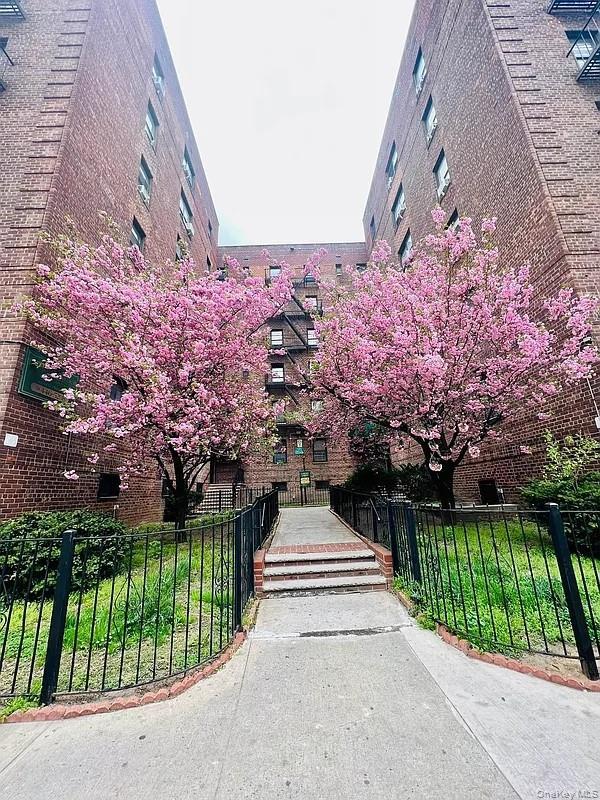 Coop Macnish  Queens, NY 11373, MLS-975171-6