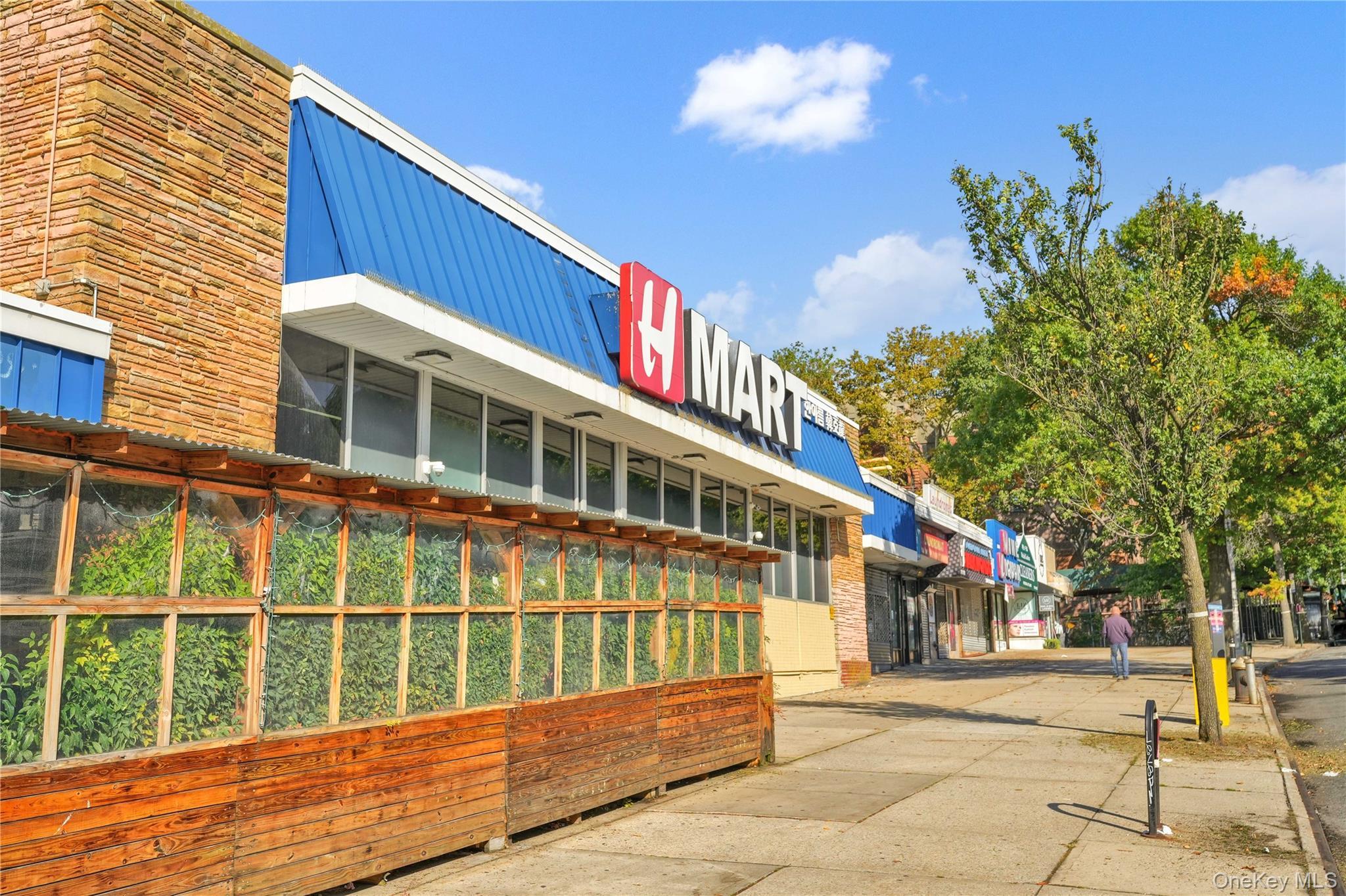 Coop 141st  Queens, NY 11354, MLS-975177-19