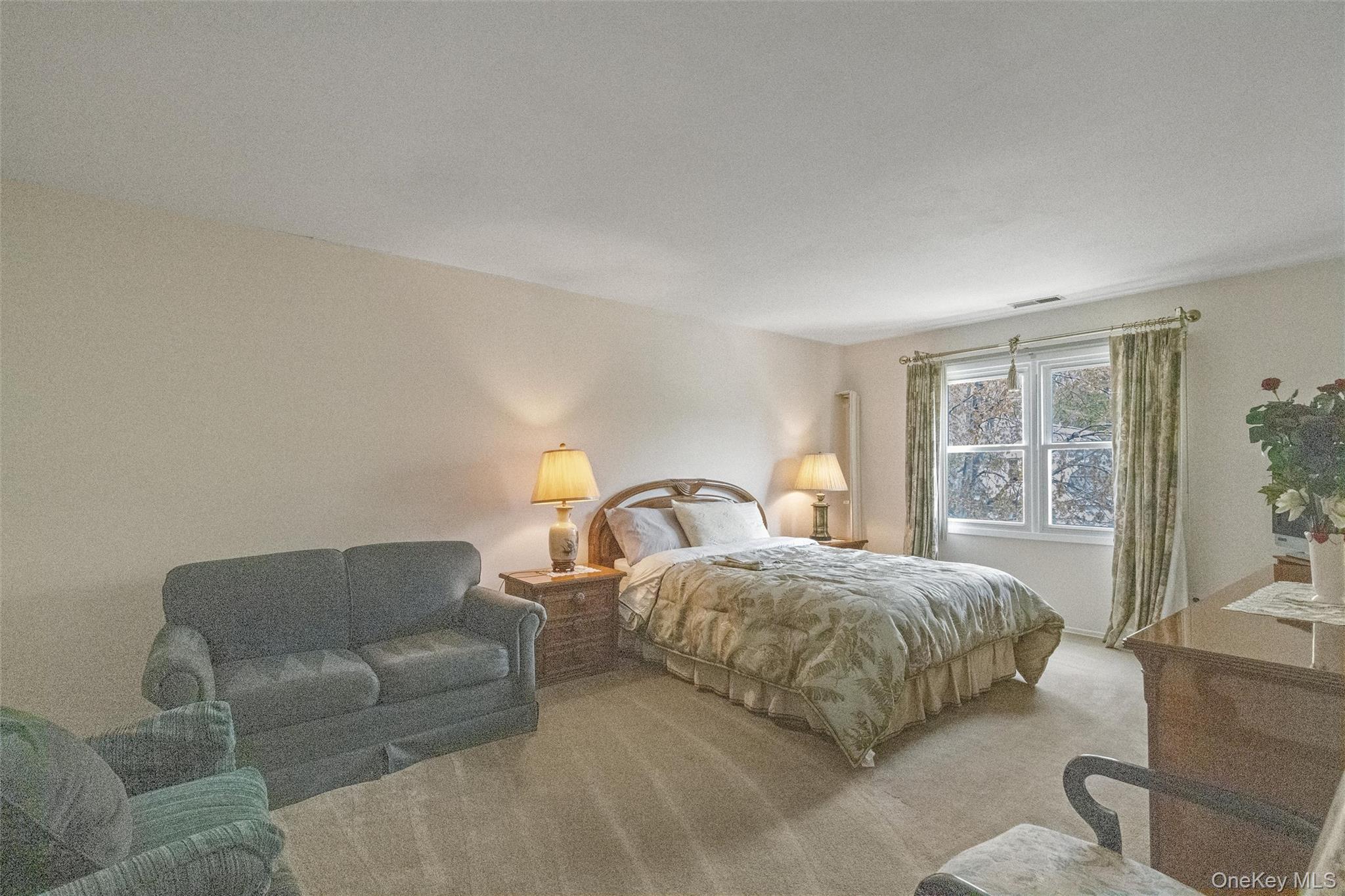 Condo Fairway  Nassau County, NY 11030, MLS-975209-28