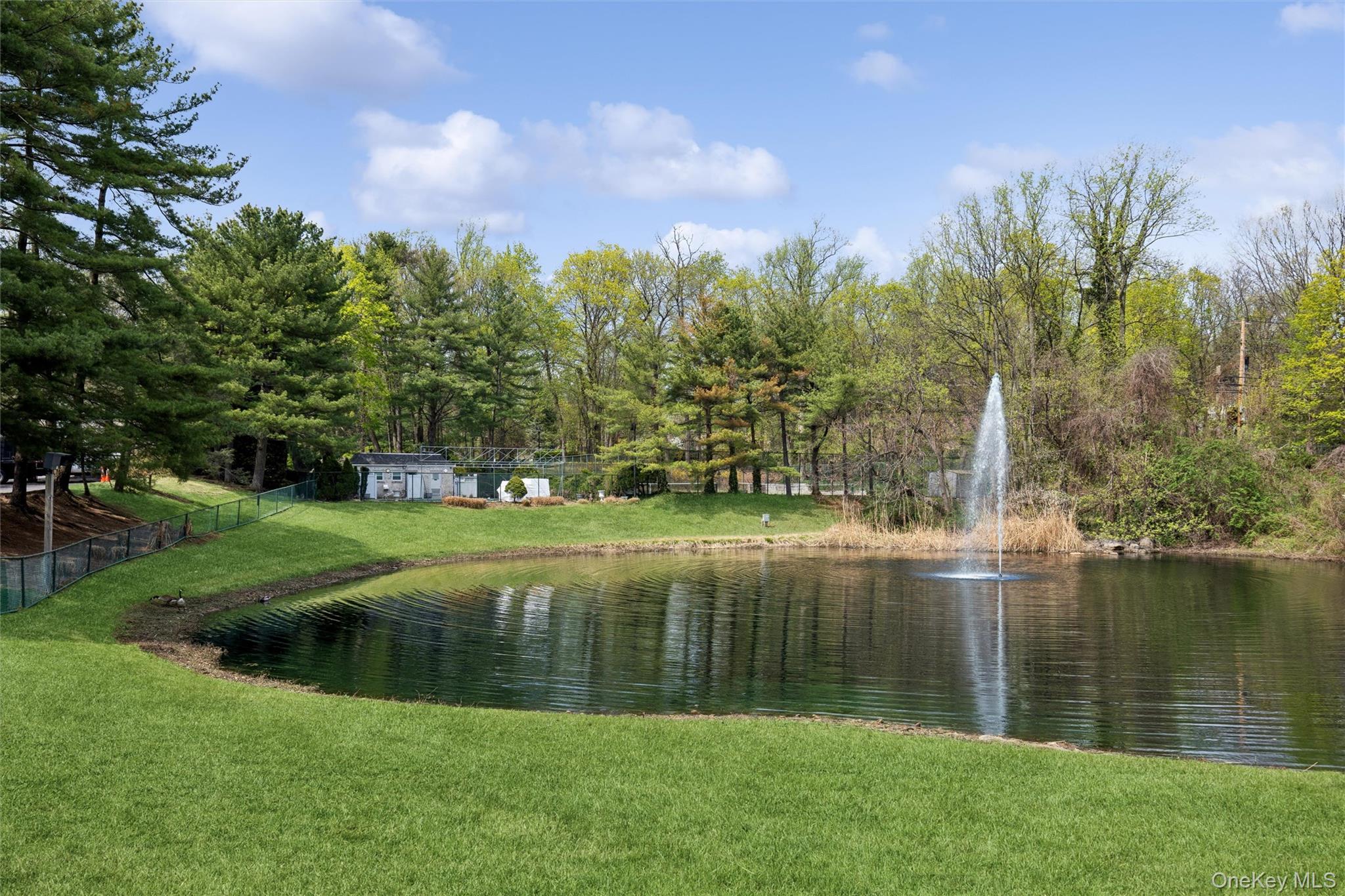 Condo Fairway  Nassau County, NY 11030, MLS-975209-41