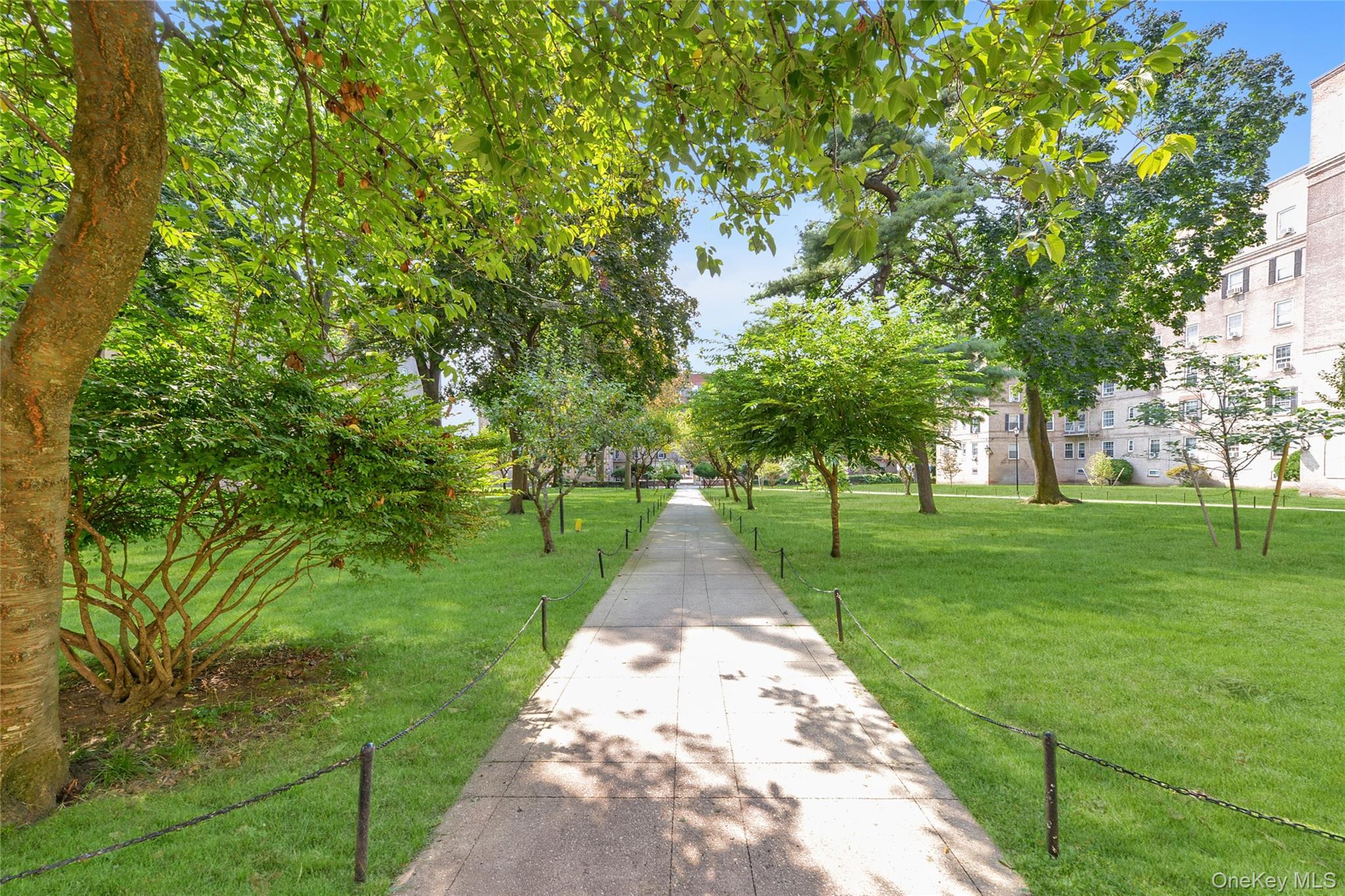 Coop 30th  Queens, NY 11377, MLS-975235-19