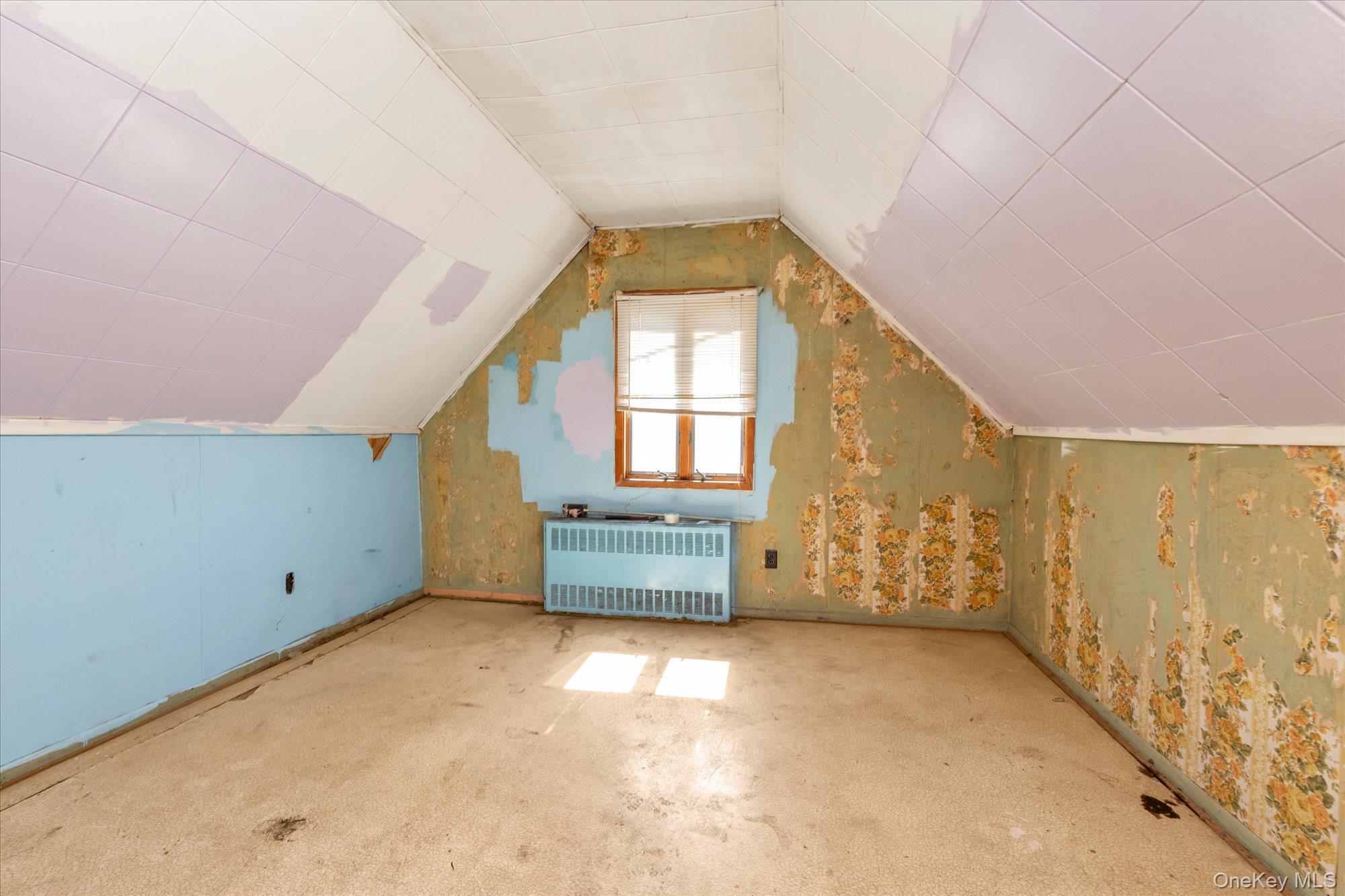 Single Family 19th  Suffolk County, NY 11729, MLS-975270-19