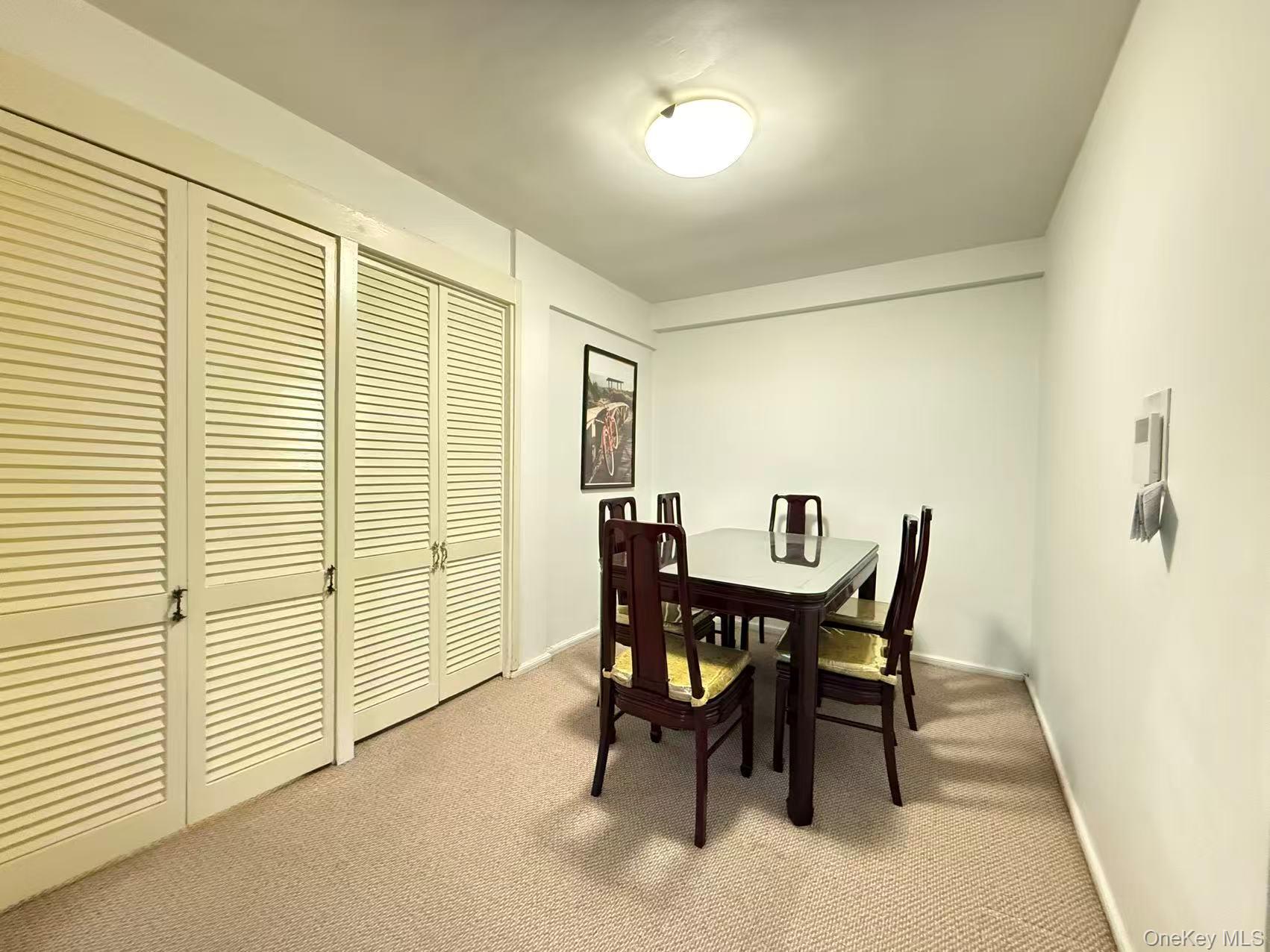 Coop 149  Queens, NY 11354, MLS-975274-3