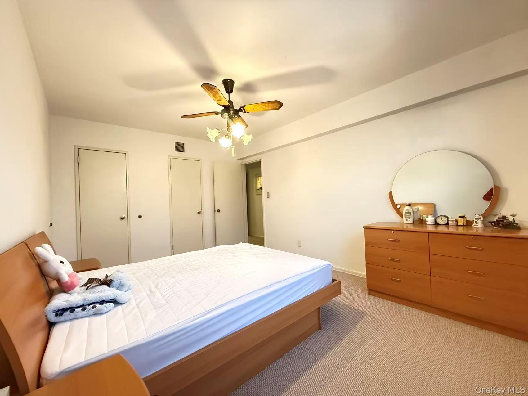 Coop 149  Queens, NY 11354, MLS-975274-5