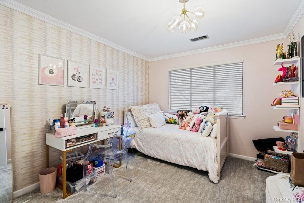 Condo Chestnut  Nassau County, NY 11797, MLS-975321-28