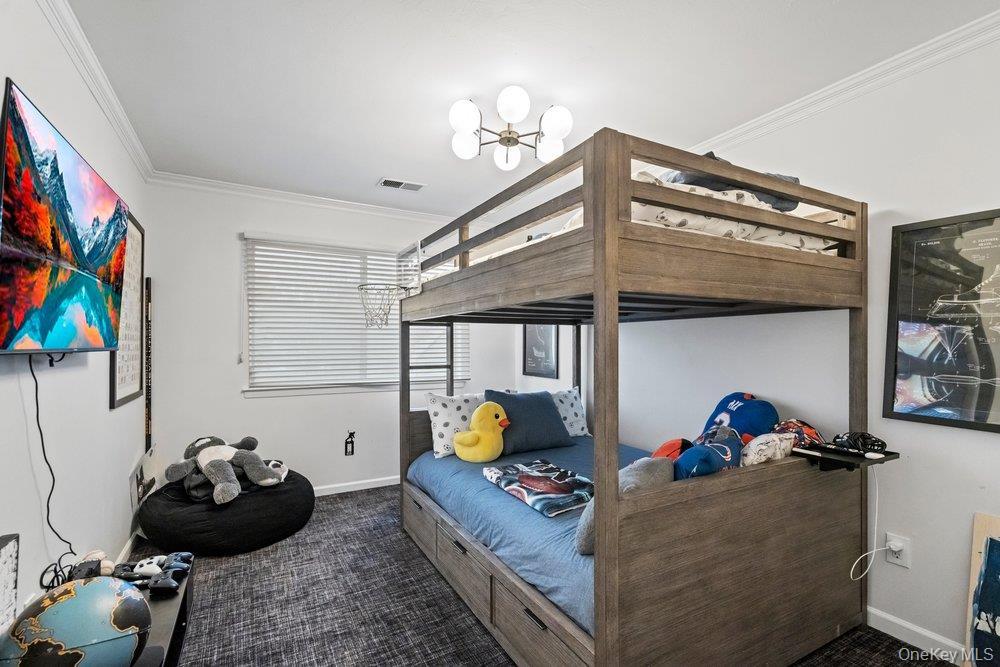 Condo Chestnut  Nassau County, NY 11797, MLS-975321-29