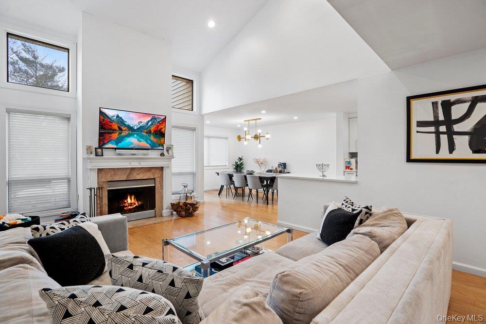 Condo Chestnut  Nassau County, NY 11797, MLS-975321-4