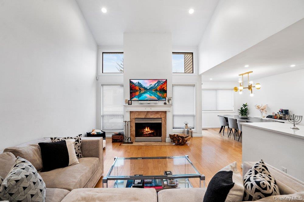 Condo Chestnut  Nassau County, NY 11797, MLS-975321-5