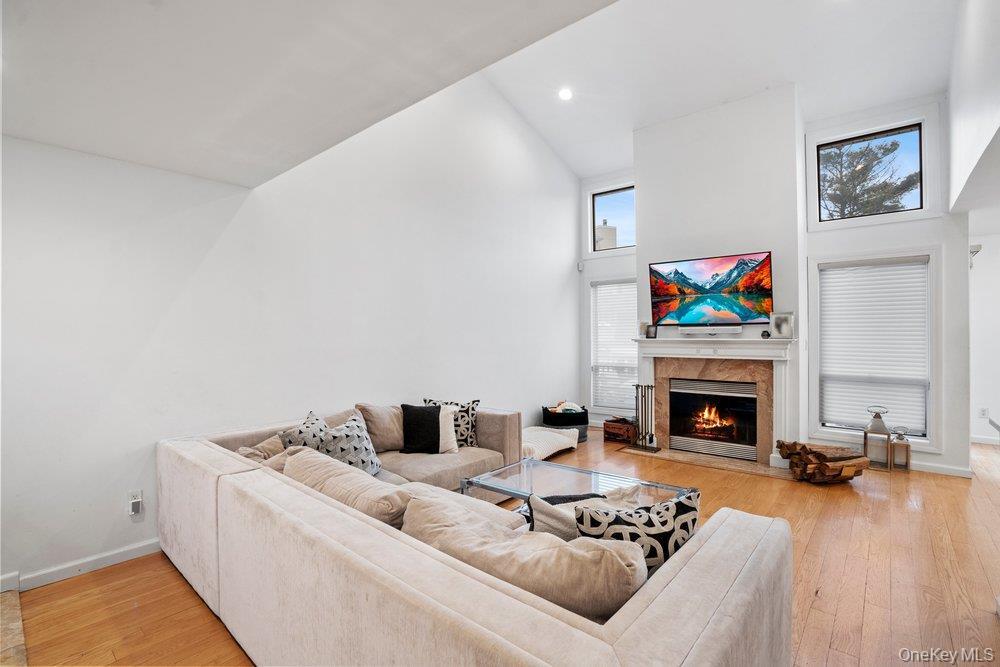 Condo Chestnut  Nassau County, NY 11797, MLS-975321-6