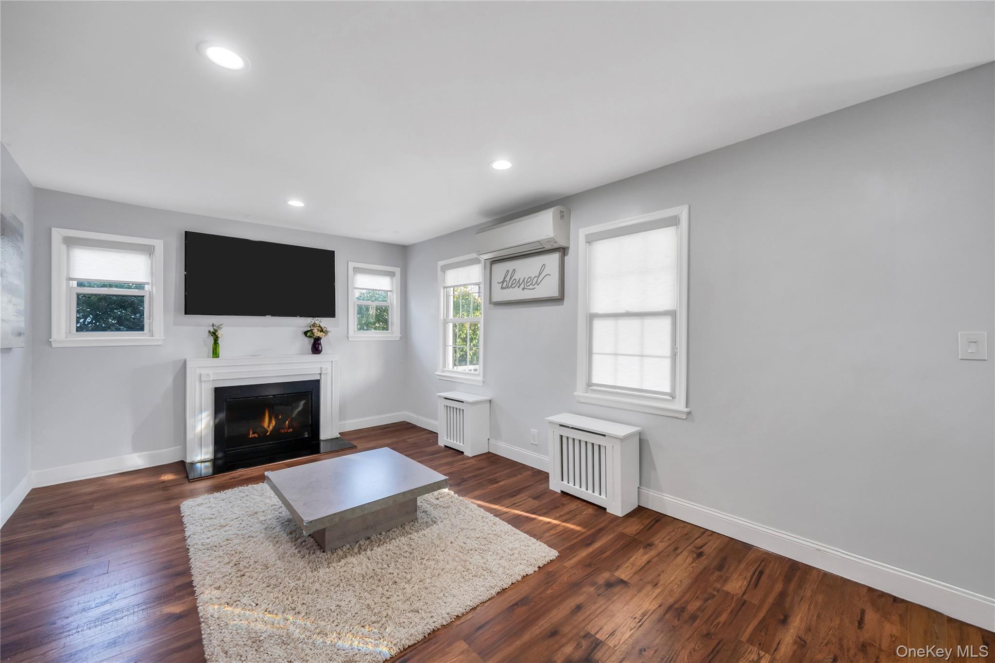 Single Family Joy  Nassau County, NY 11510, MLS-975339-4