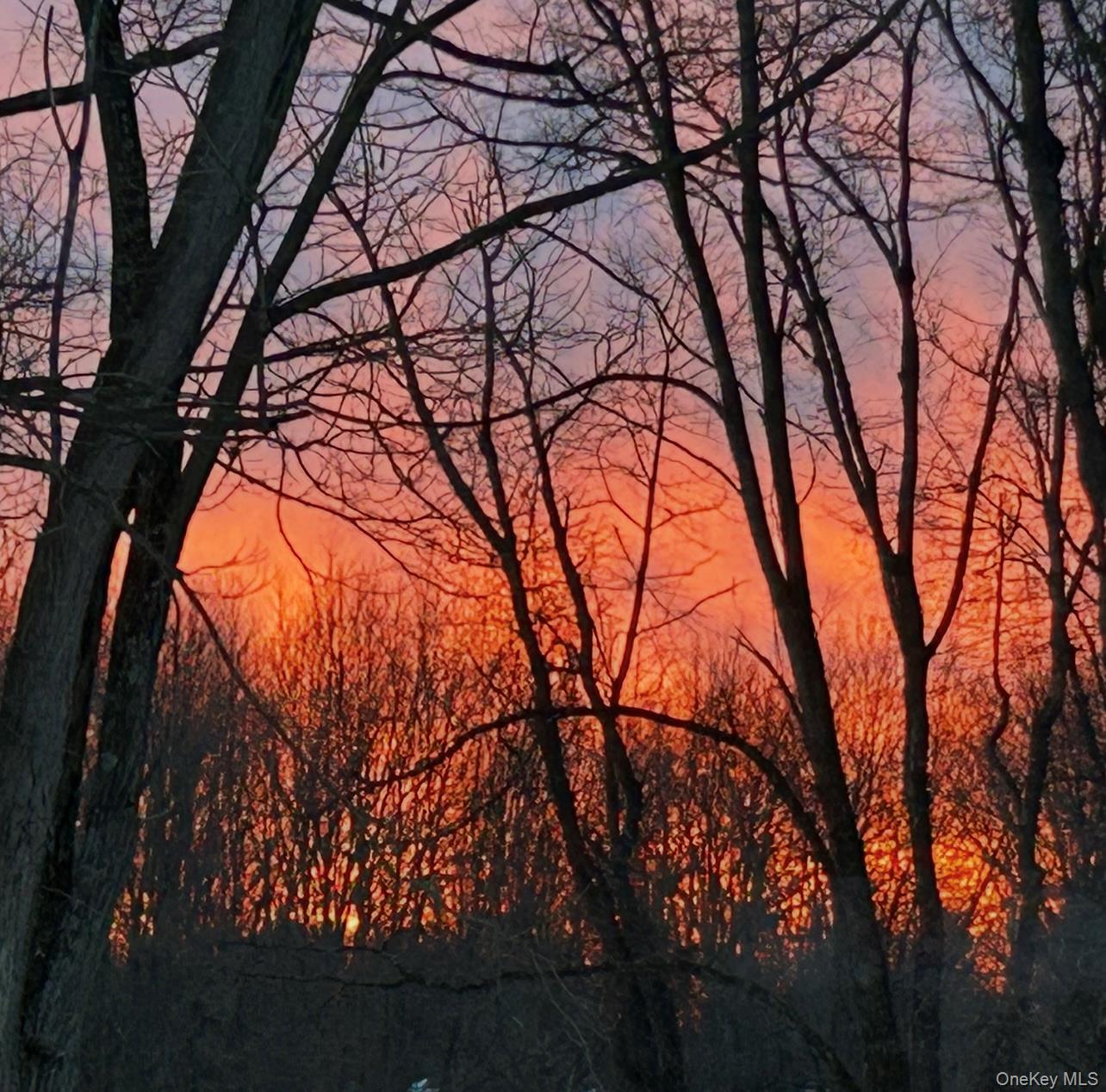 Single Family Cornell  Dutchess County, NY 12571, MLS-975373-37